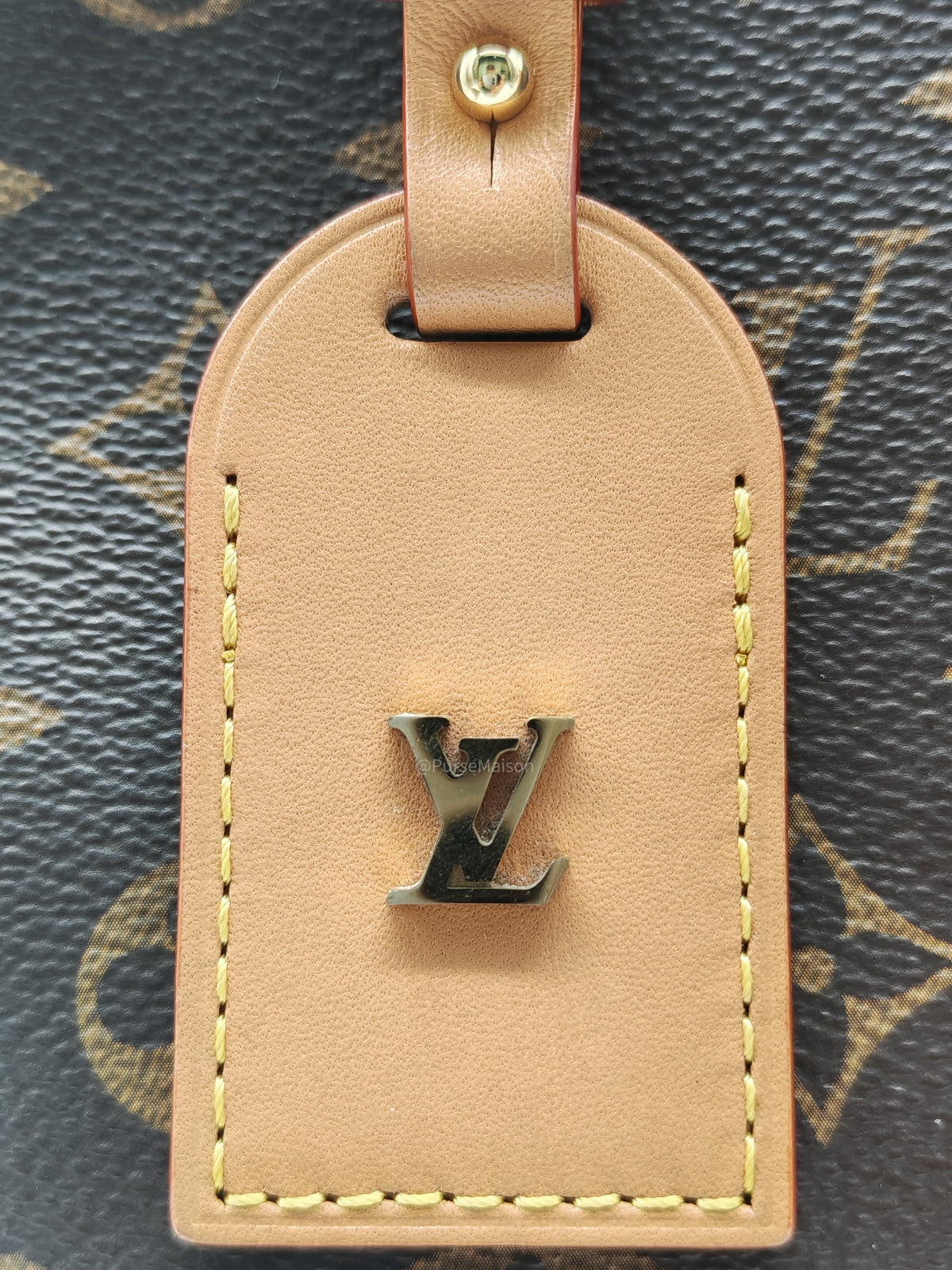 Louis Vuitton Carry All PM in Monogram Canvas and Gold Hardware Mircochip | Purse Maison Luxury Bags Shop