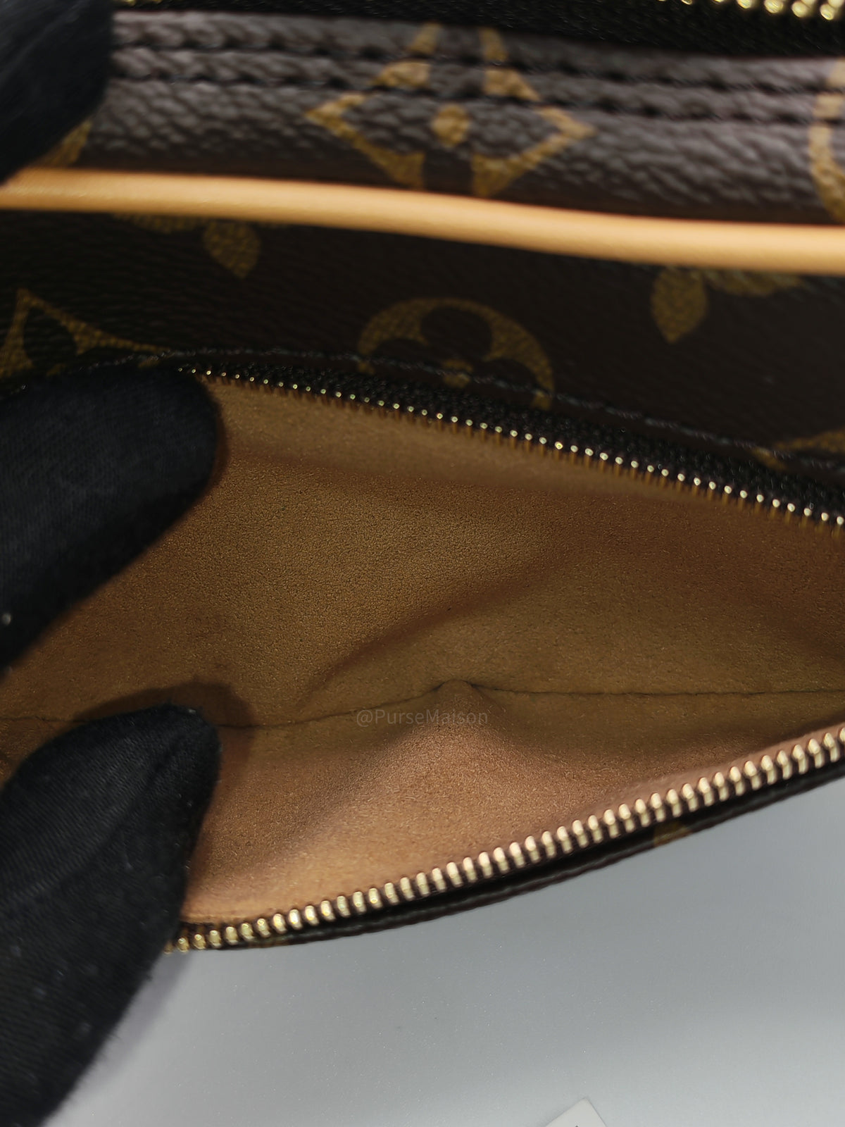 Louis Vuitton Loop Hand Bag in Monogram Canvas and Gold Hardware Microchip | Purse Maison Luxury Bags Shop