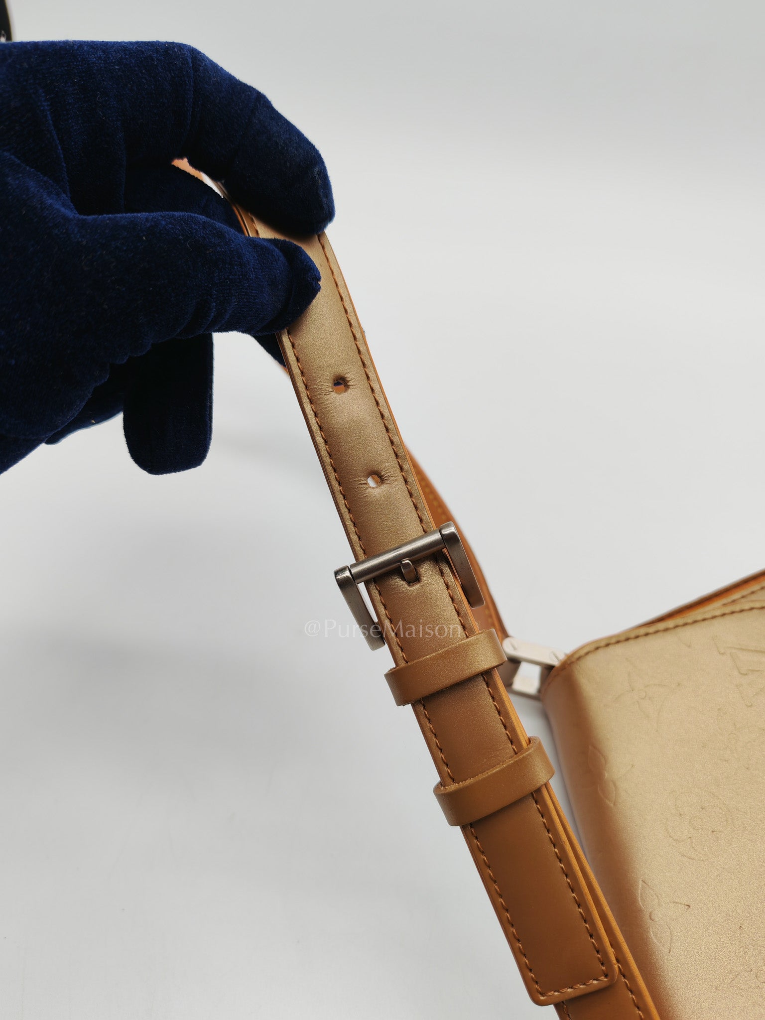 Louis Vuitton Mat Webster Street Bag in Ambre Monogram Canvas | Purse Maison Luxury Bags Shop