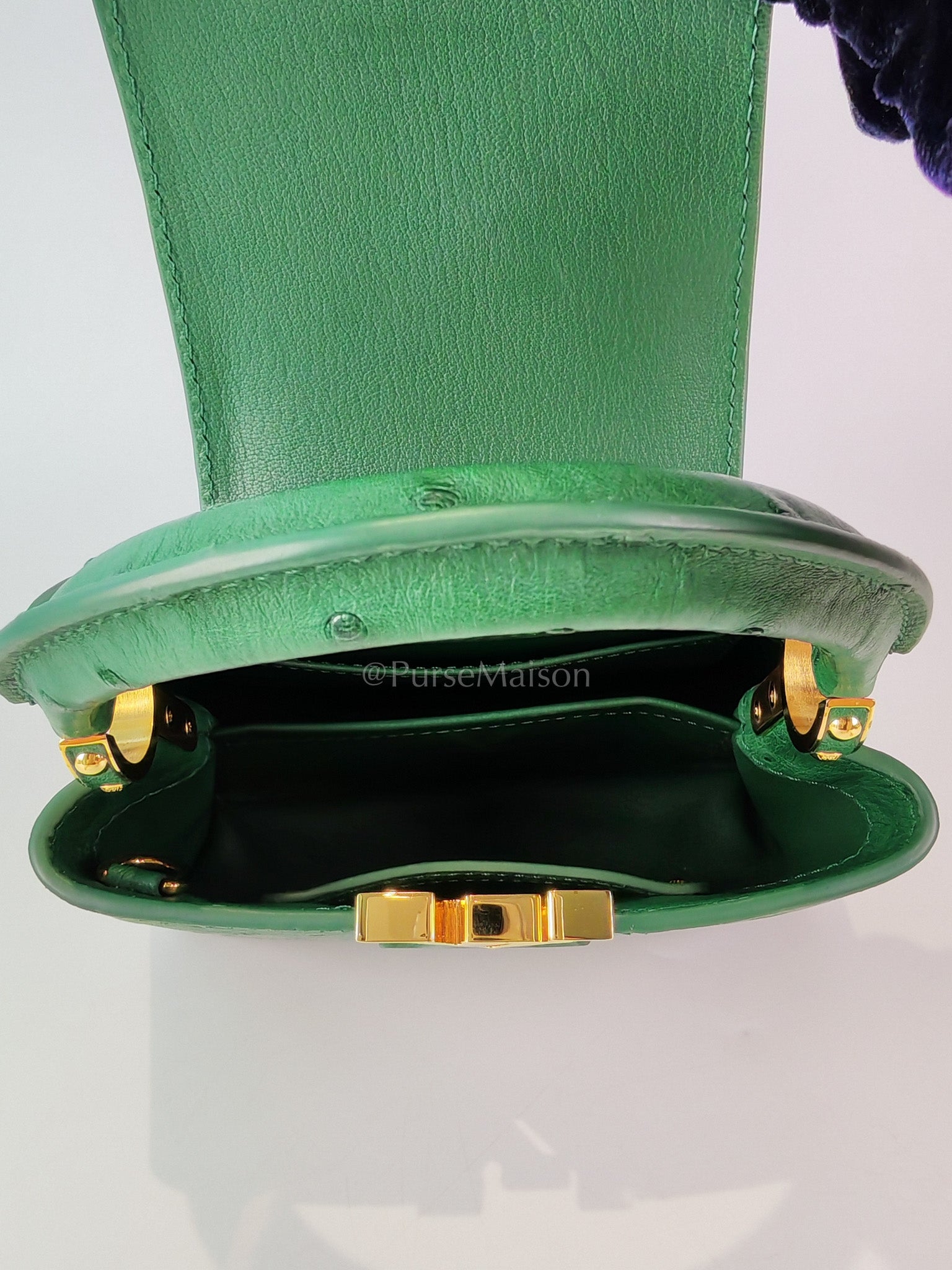 Mini Capuccines in Green Ostrich & Goat Leather Lining (Microchip) | Purse Maison Luxury Bags Shop