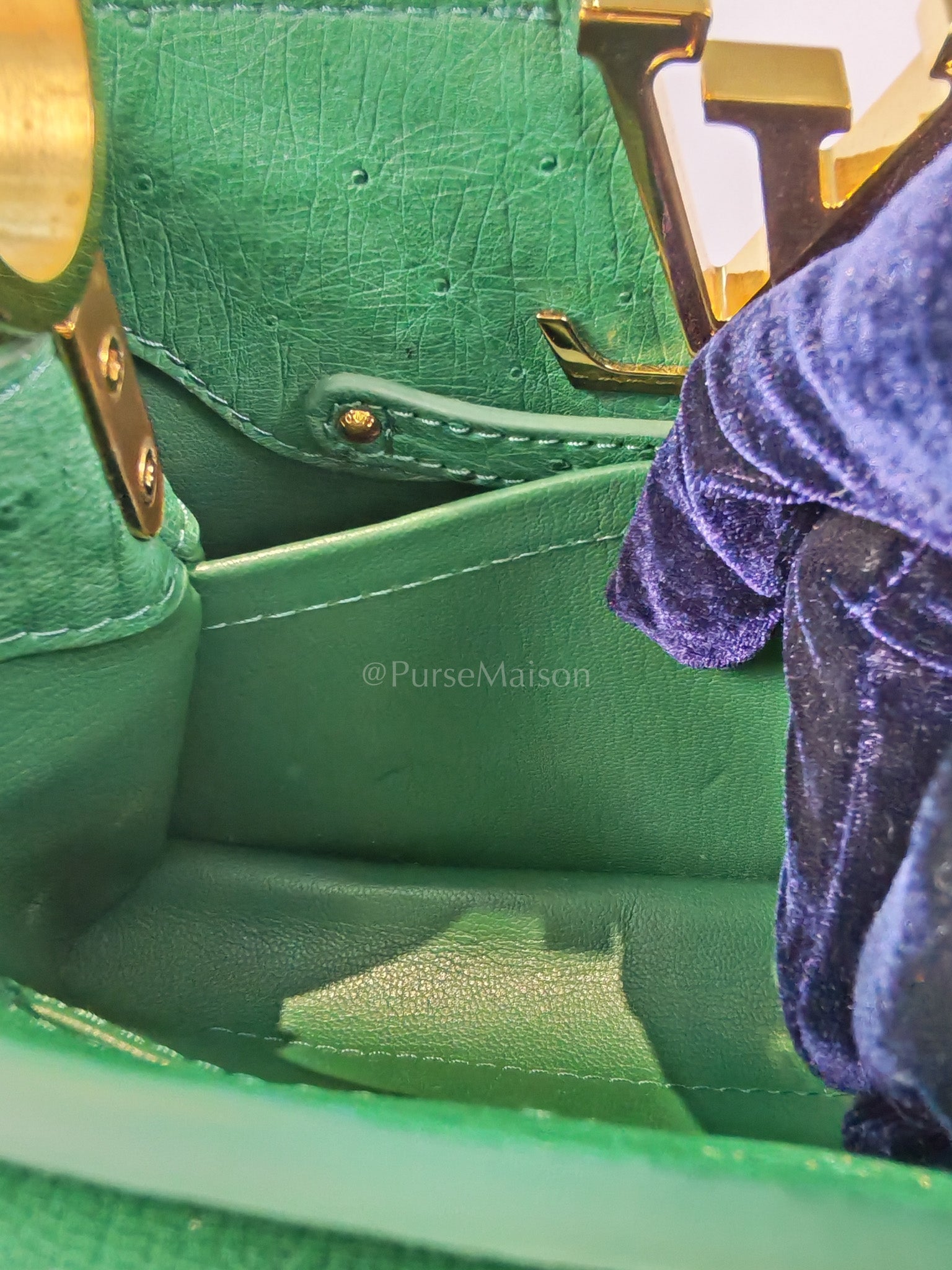 Mini Capuccines in Green Ostrich & Goat Leather Lining (Microchip) | Purse Maison Luxury Bags Shop