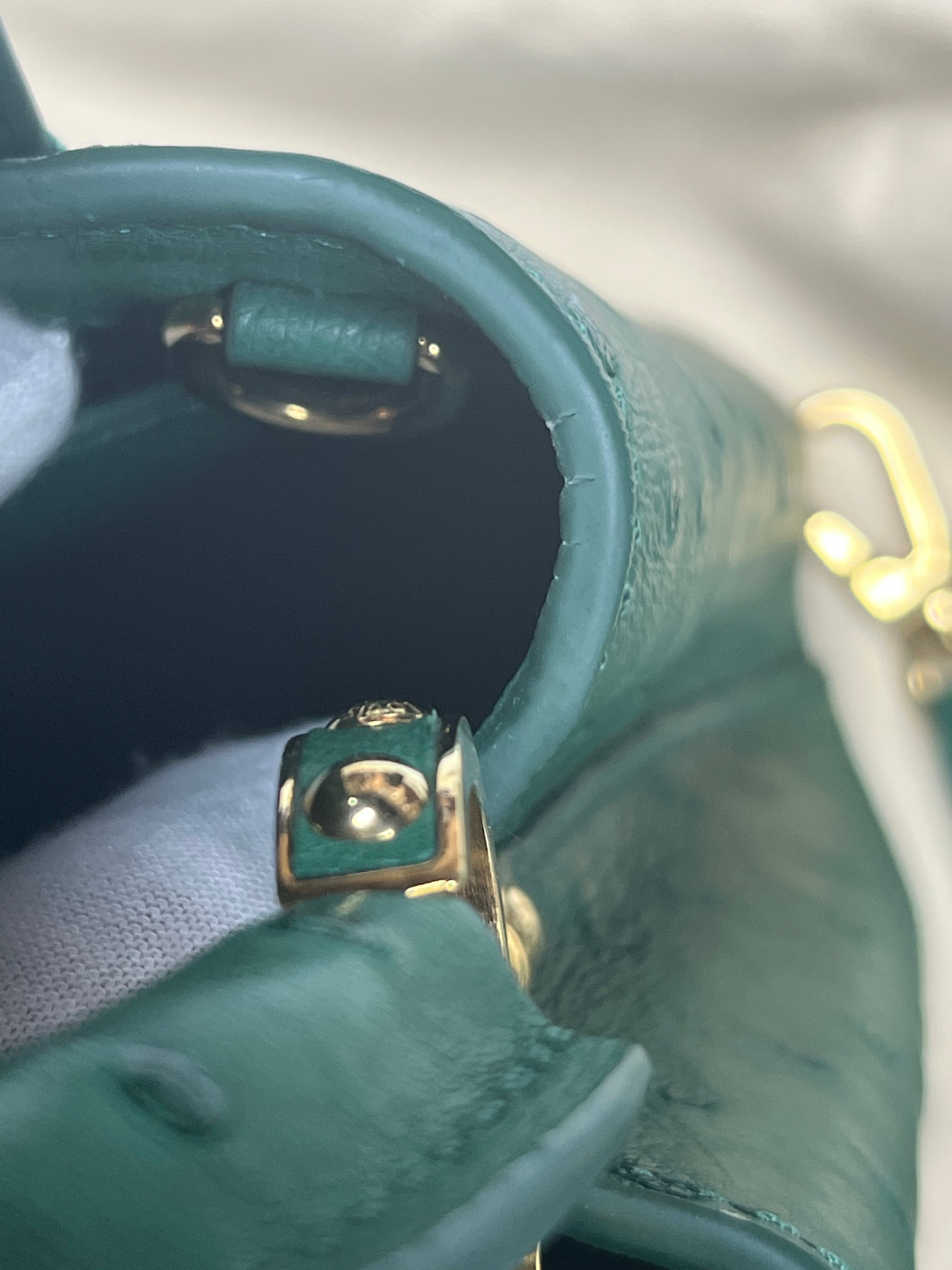 Mini Capuccines in Green Ostrich & Goat Leather Lining (Microchip) | Purse Maison Luxury Bags Shop