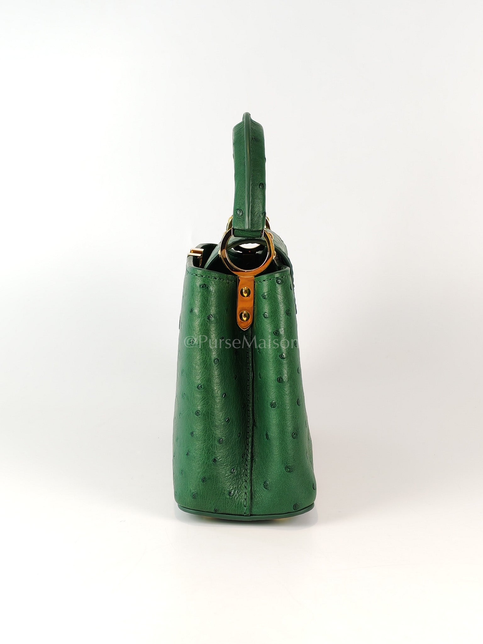 Mini Capuccines in Green Ostrich & Goat Leather Lining (Microchip) | Purse Maison Luxury Bags Shop