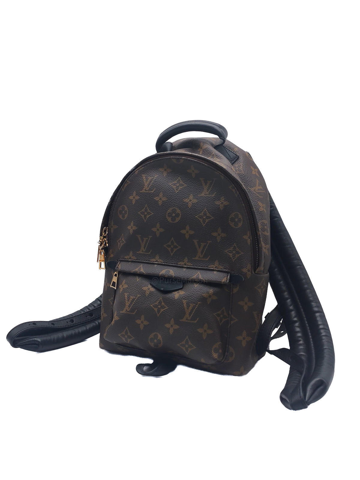 Louis Vuitton Palm Spring Backpack PM in Monogram Canvas and Gold Hardware (Datecode: FL0119) | Purse Maison Luxury Bags Shop