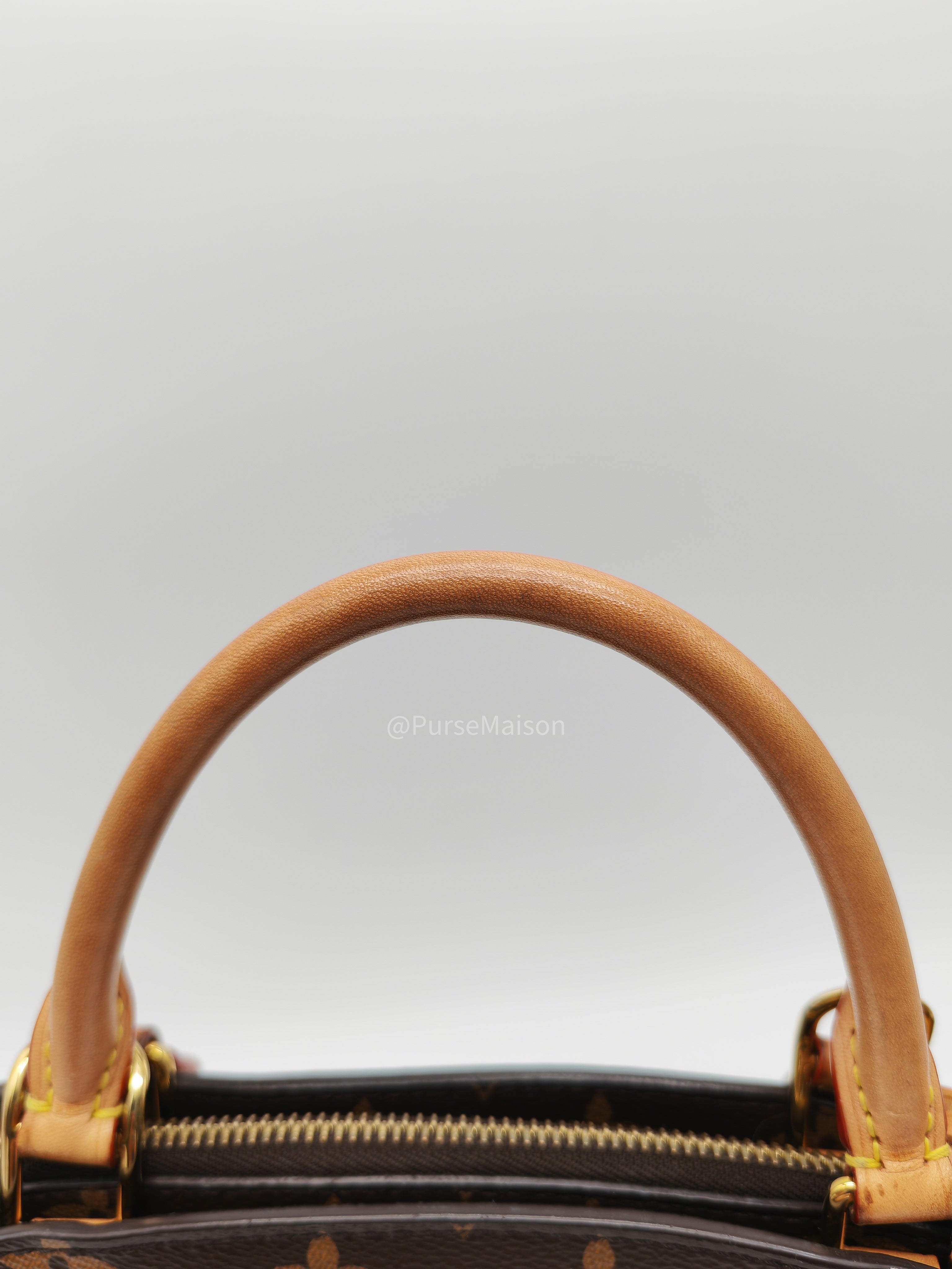 Louis Vuitton Petit Palais in Monogram Canvas and Gold Hardware Microchip | Purse Maison Luxury Bags Shop