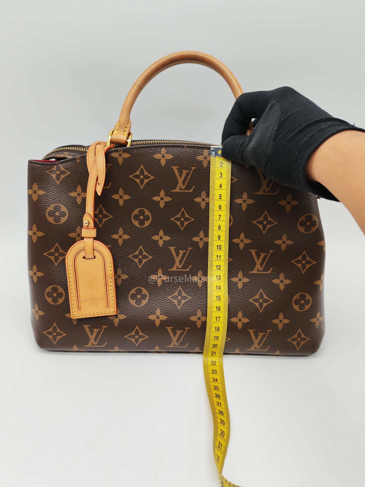 Louis Vuitton Petit Palais in Monogram Canvas and Gold Hardware Microchip | Purse Maison Luxury Bags Shop