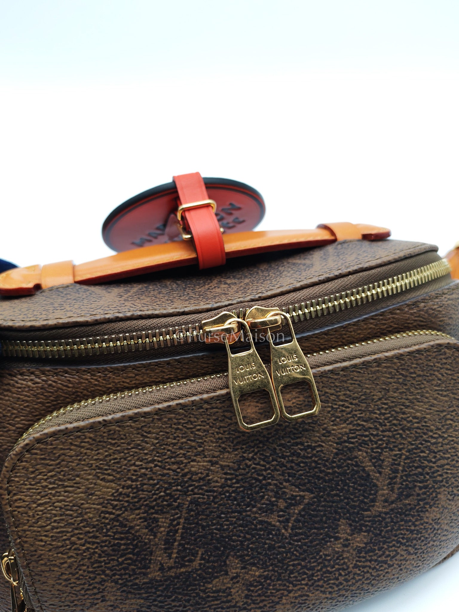 Louis Vuitton Rush Bumbag in Monogram Dust Canvas (Microchip) | Purse Maison Luxury Bags Shop