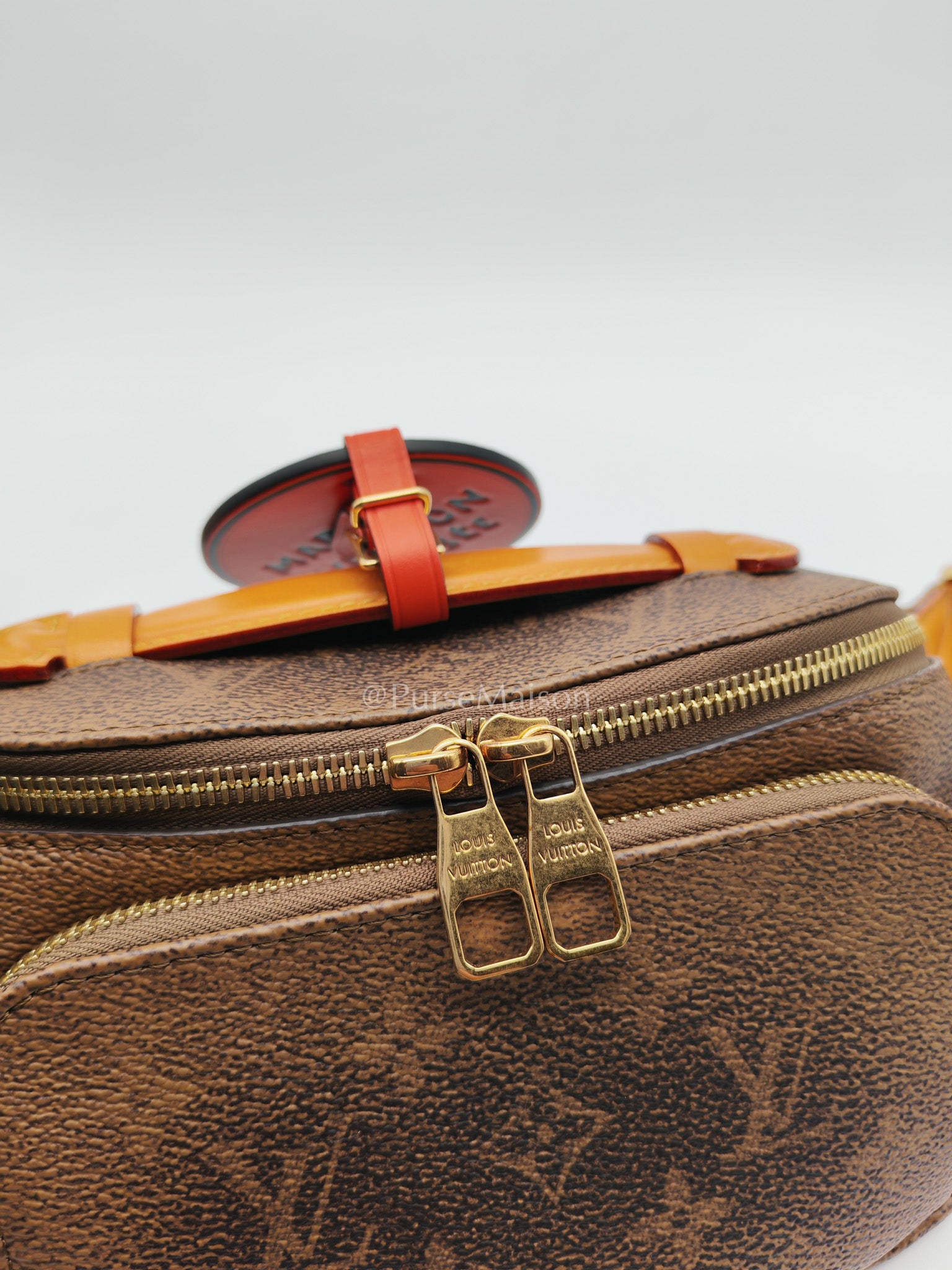 Louis Vuitton Rush Bumbag in Monogram Dust Canvas (Microchip) | Purse Maison Luxury Bags Shop