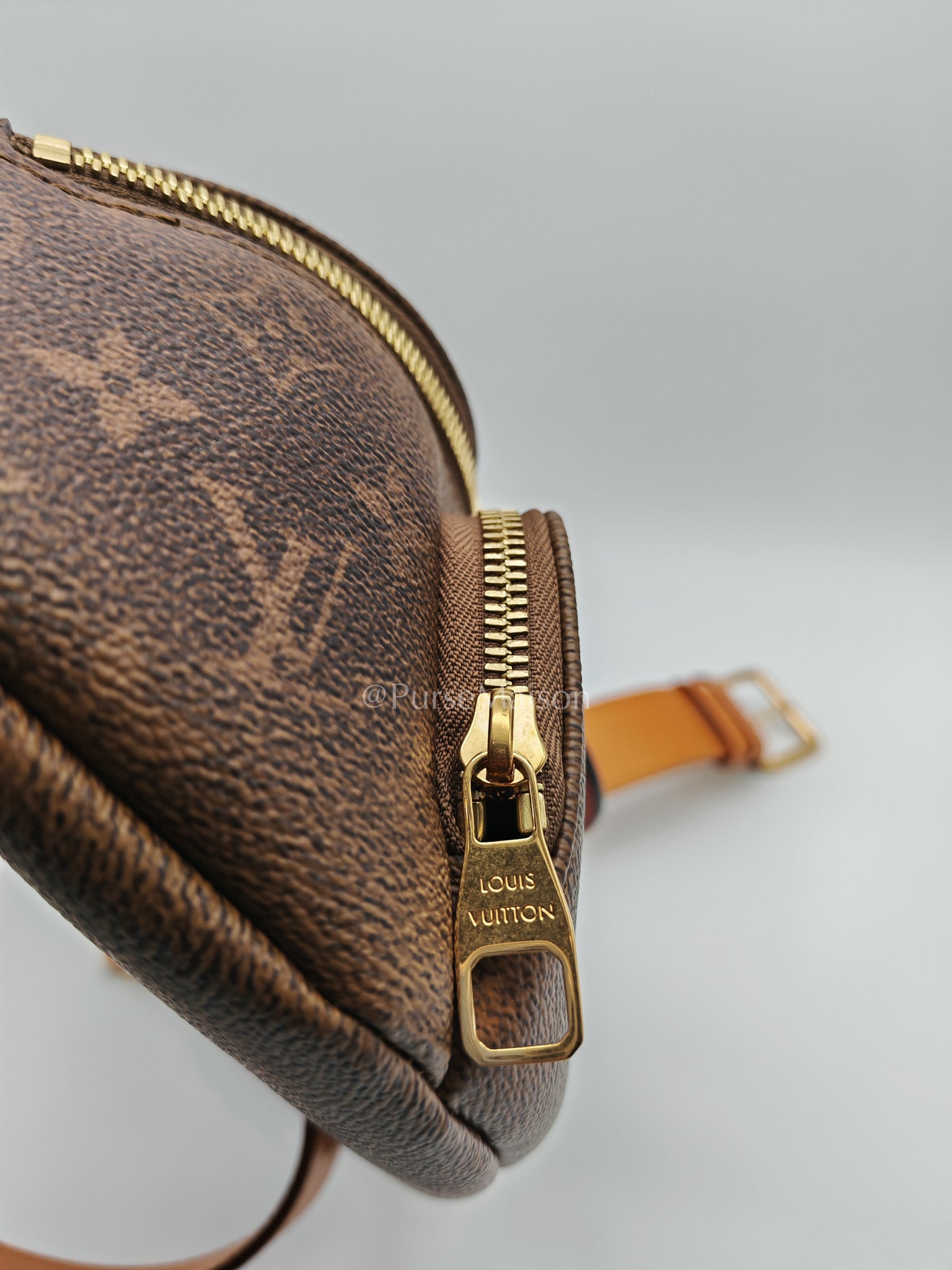 Louis Vuitton Rush Bumbag in Monogram Dust Canvas (Microchip) | Purse Maison Luxury Bags Shop