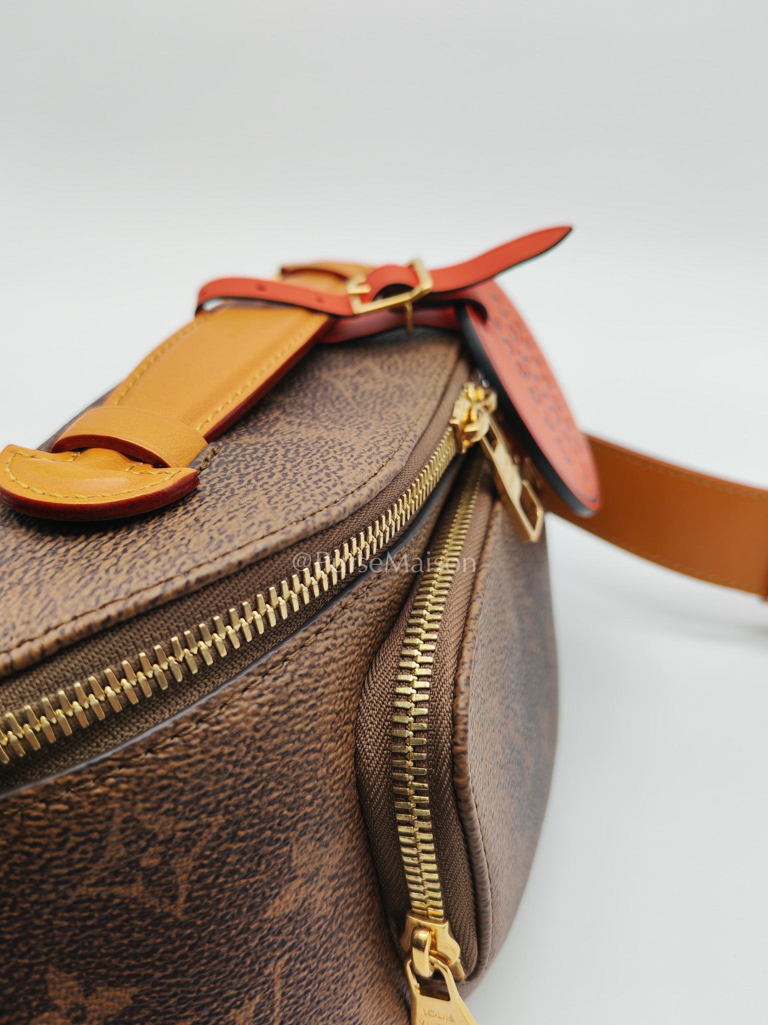 Louis Vuitton Rush Bumbag in Monogram Dust Canvas (Microchip) | Purse Maison Luxury Bags Shop