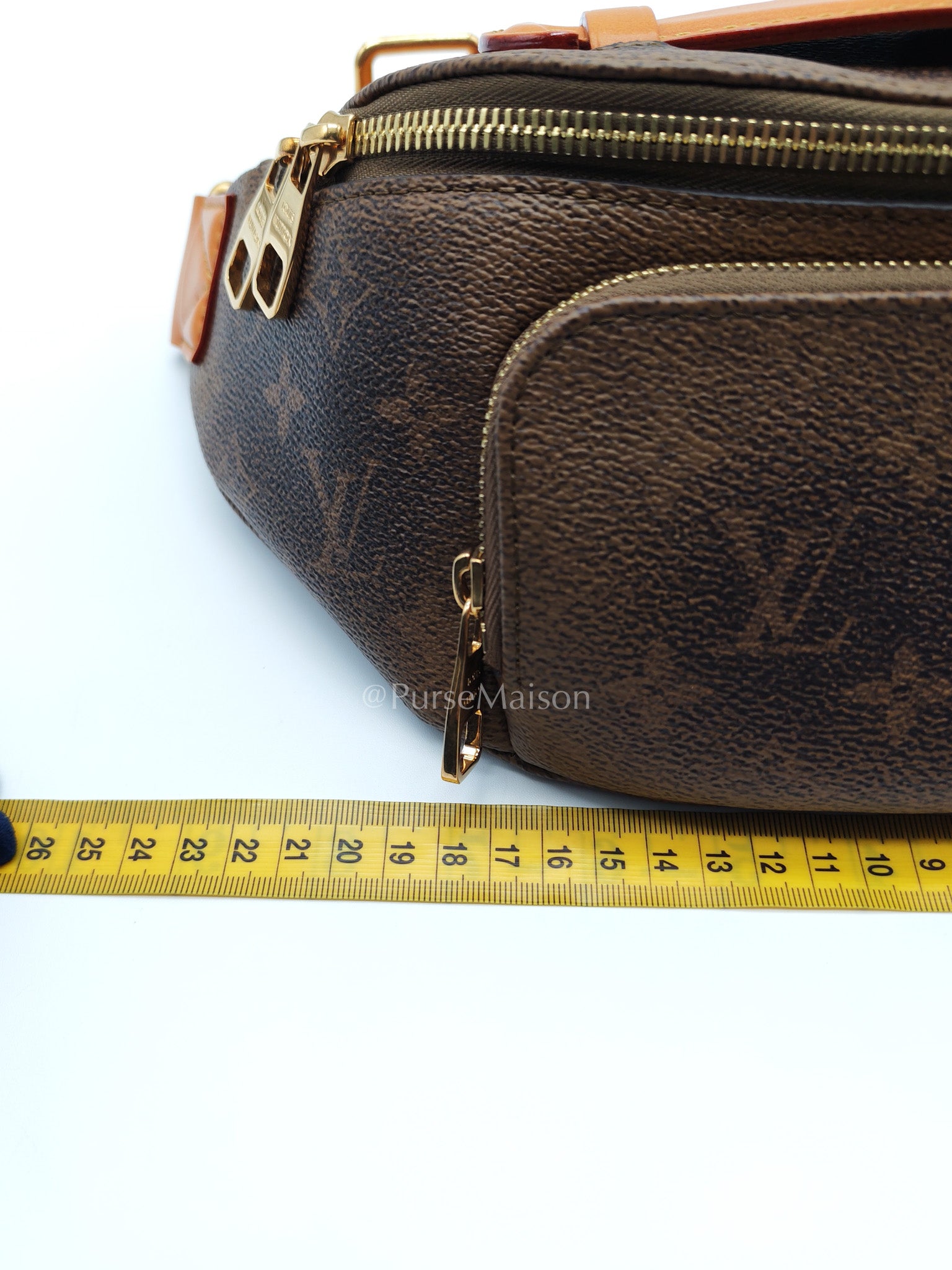 Louis Vuitton Rush Bumbag in Monogram Dust Canvas (Microchip) | Purse Maison Luxury Bags Shop