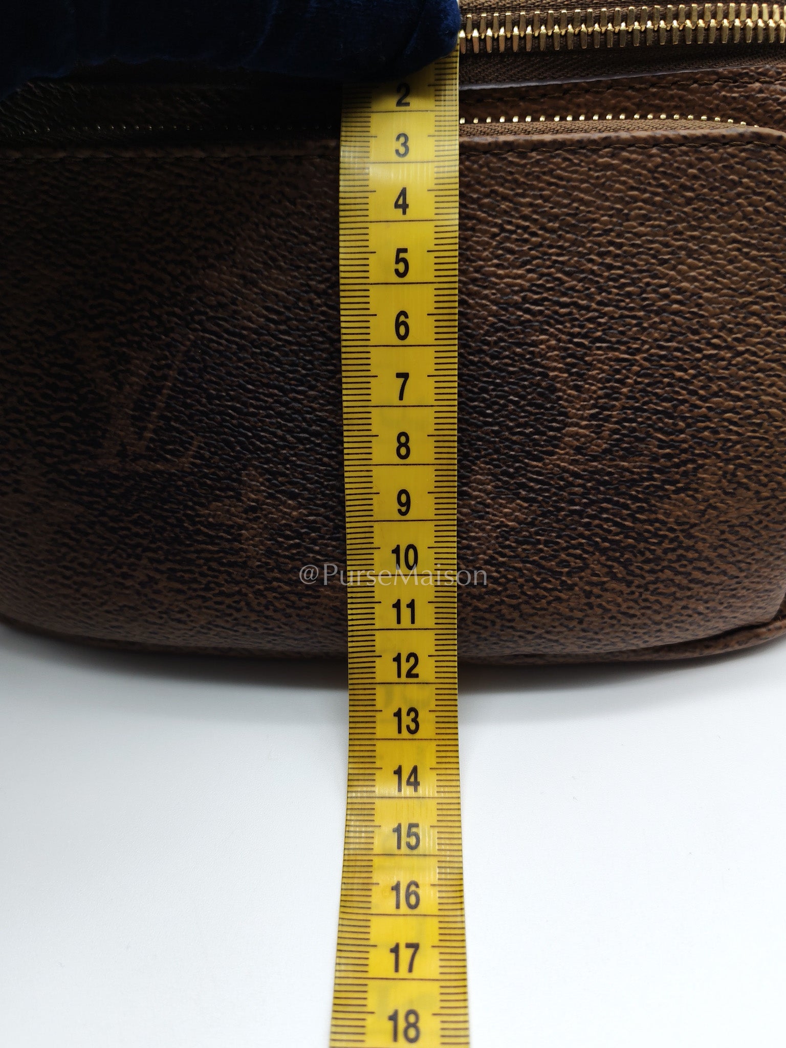 Louis Vuitton Rush Bumbag in Monogram Dust Canvas (Microchip) | Purse Maison Luxury Bags Shop