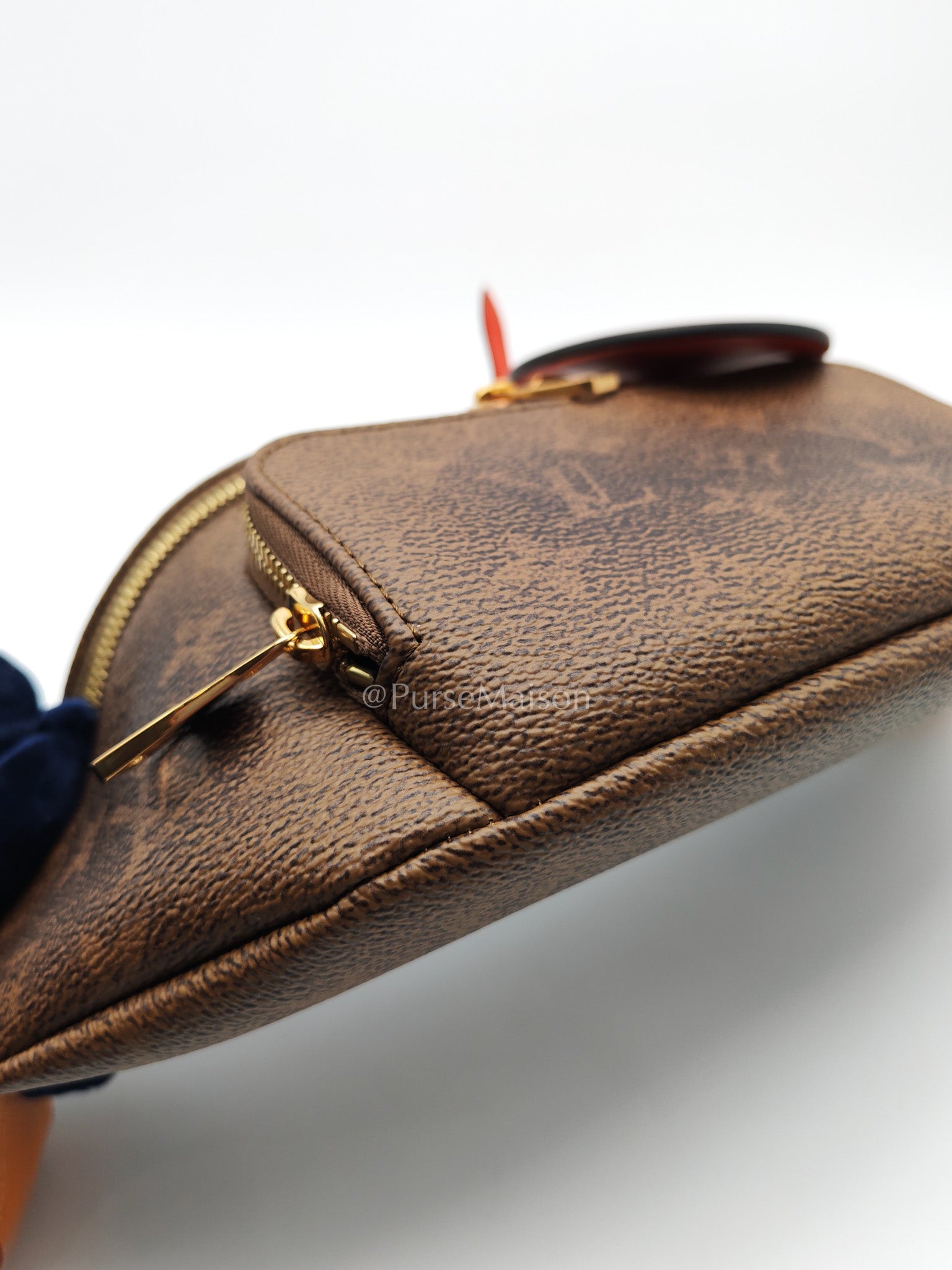 Louis Vuitton Rush Bumbag in Monogram Dust Canvas (Microchip) | Purse Maison Luxury Bags Shop