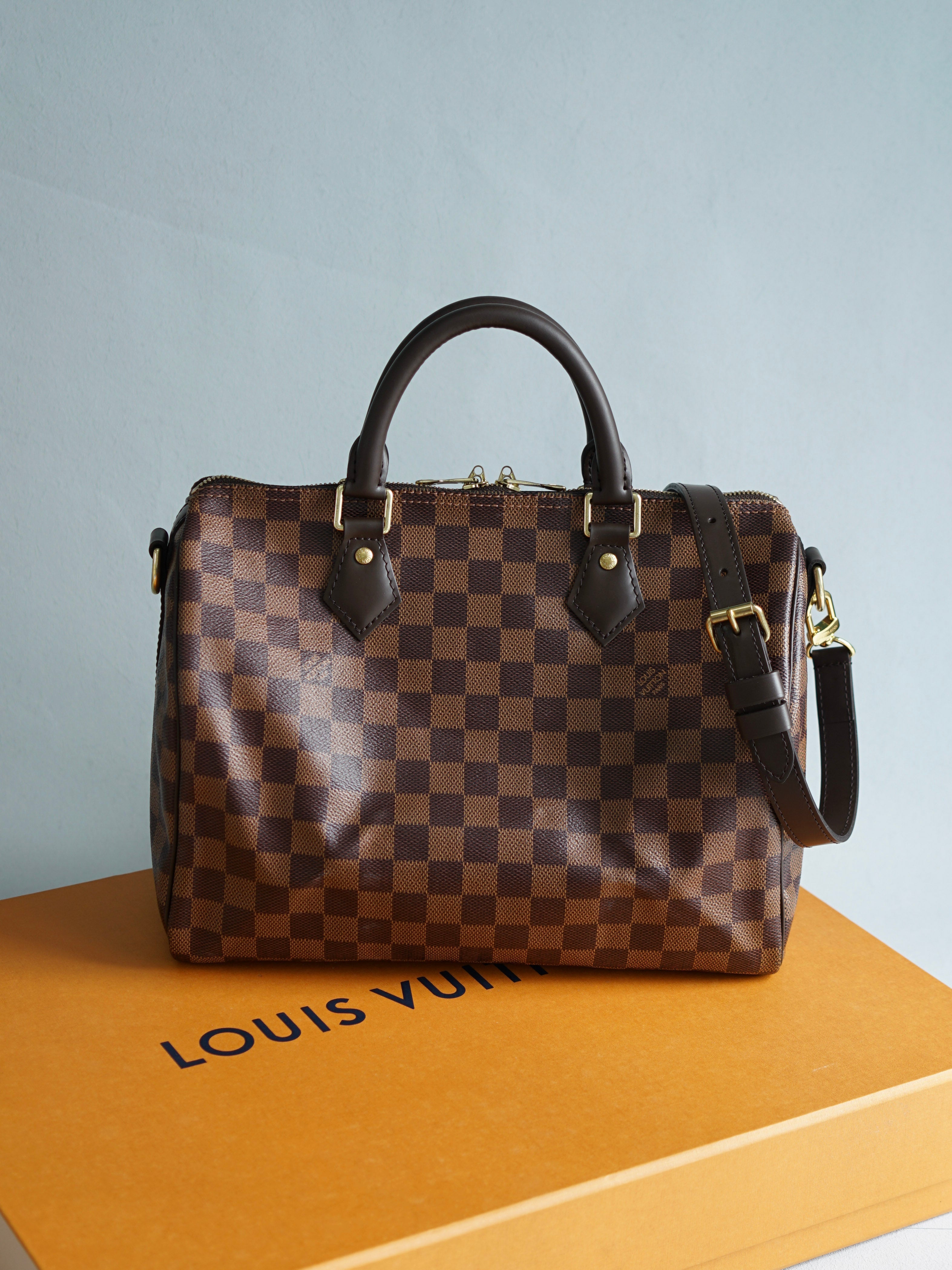 Shop the Latest Louis Vuitton Bags in the Philippines in November