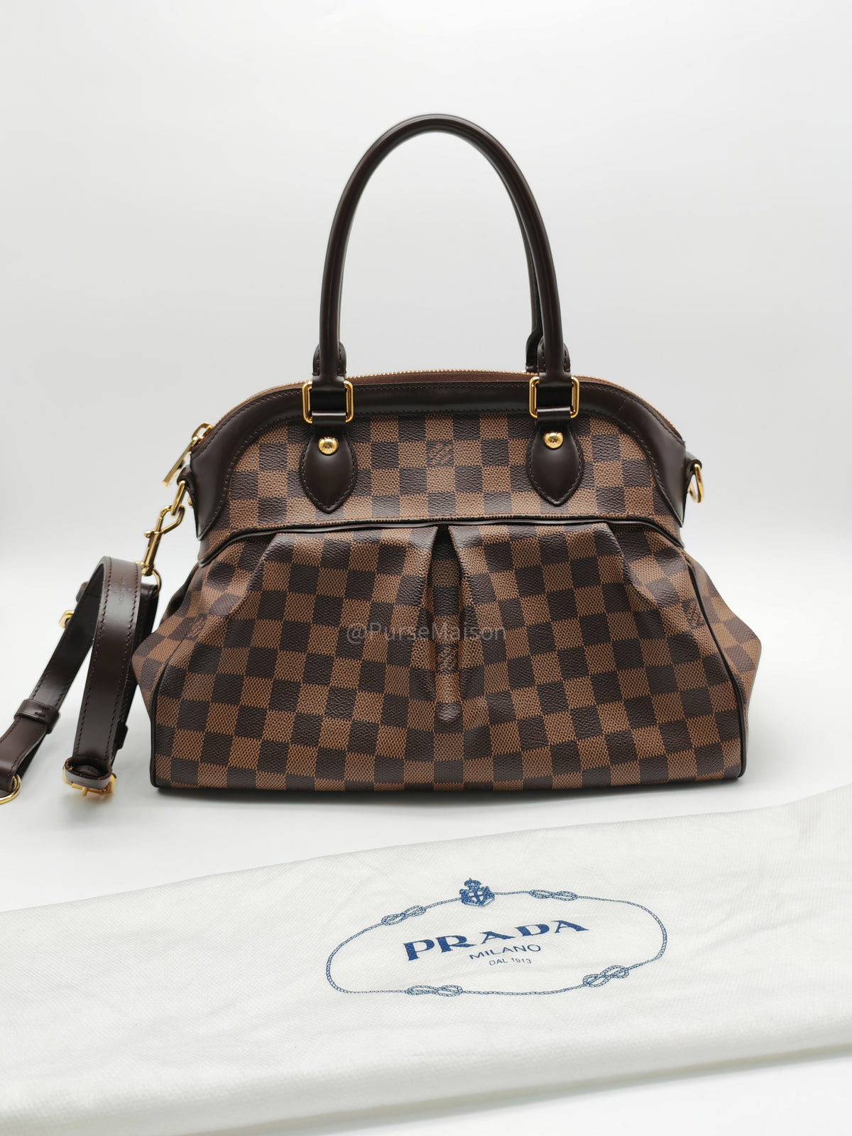 Louis Vuitton Trevi PM in Damier Ebene Canvas and Gold Hardware (Datecode: FL1080) | Purse Maison Luxury Bags Shop