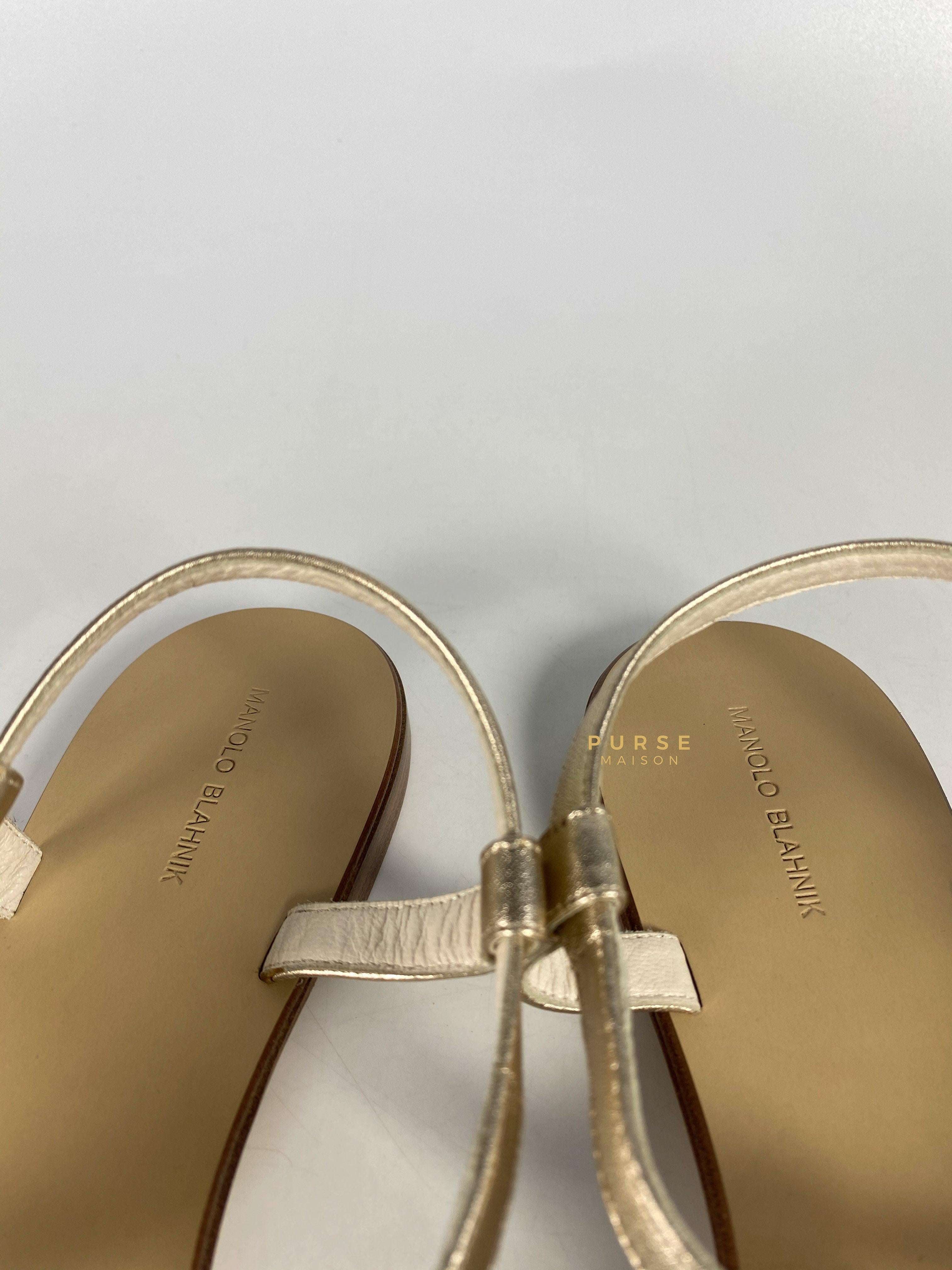 Manolo Blahnik T-Strap Flat Sandals Size 38.5 (24.5cm) | Purse Maison Luxury Bags Shop