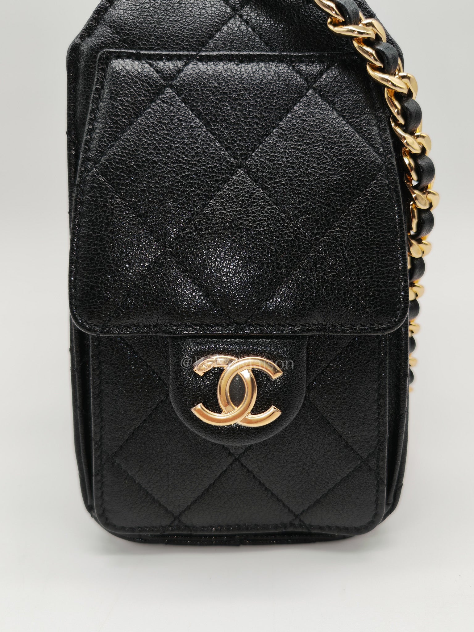 25 Mini in Black Grained Calfskin Leather & Gold Hardware Microchip