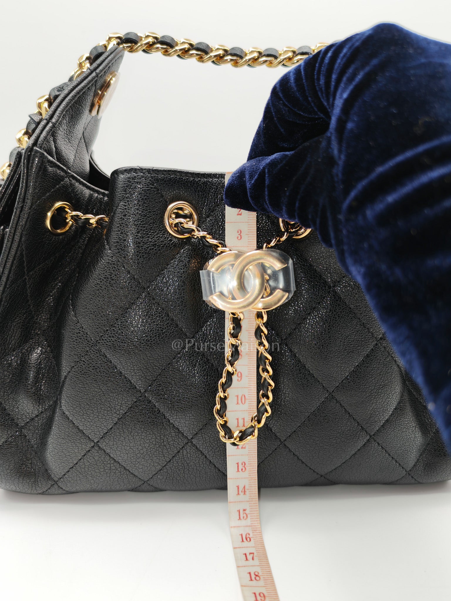 25 Mini in Black Grained Calfskin Leather & Gold Hardware Microchip
