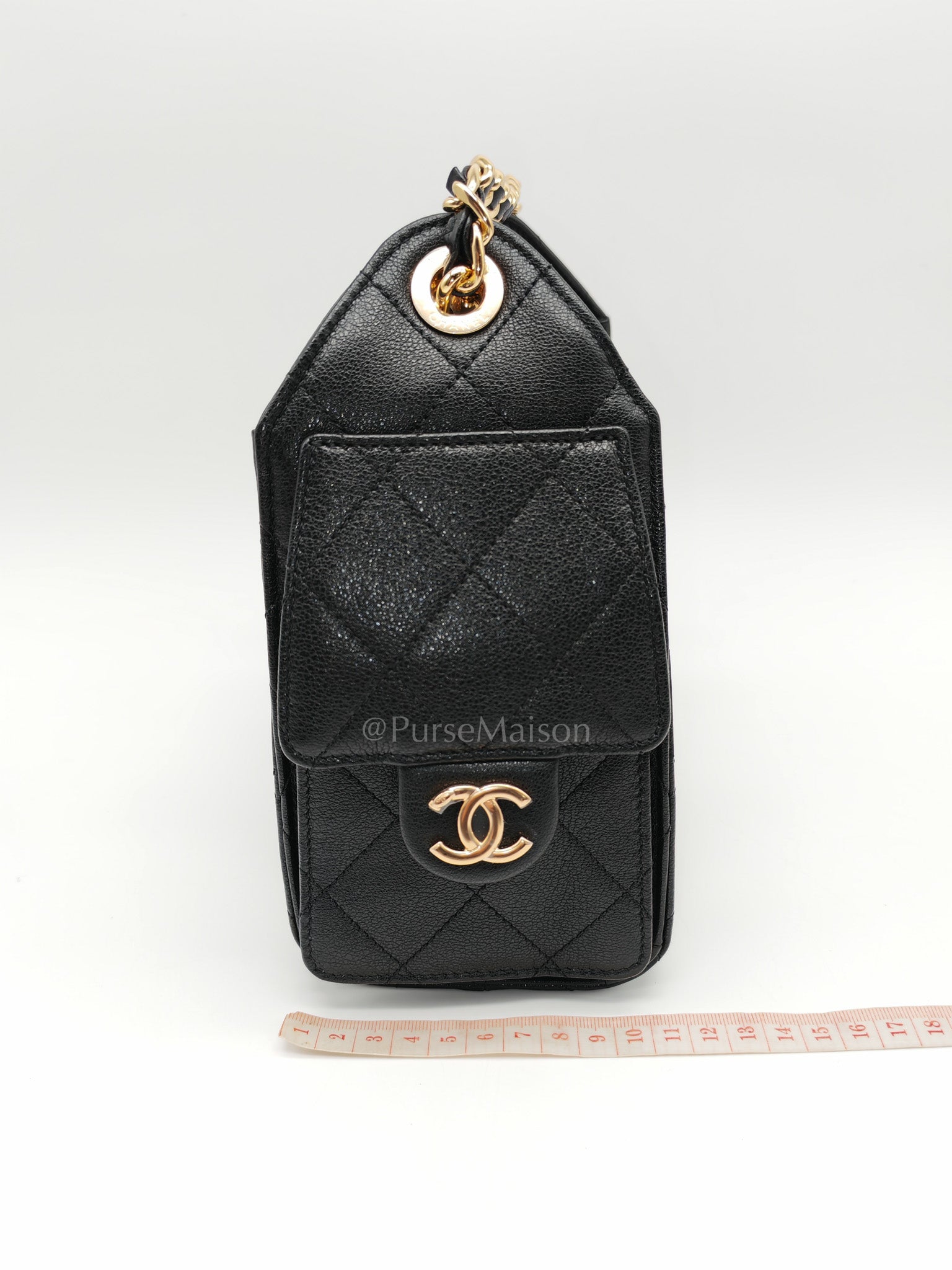 25 Mini in Black Grained Calfskin Leather & Gold Hardware Microchip