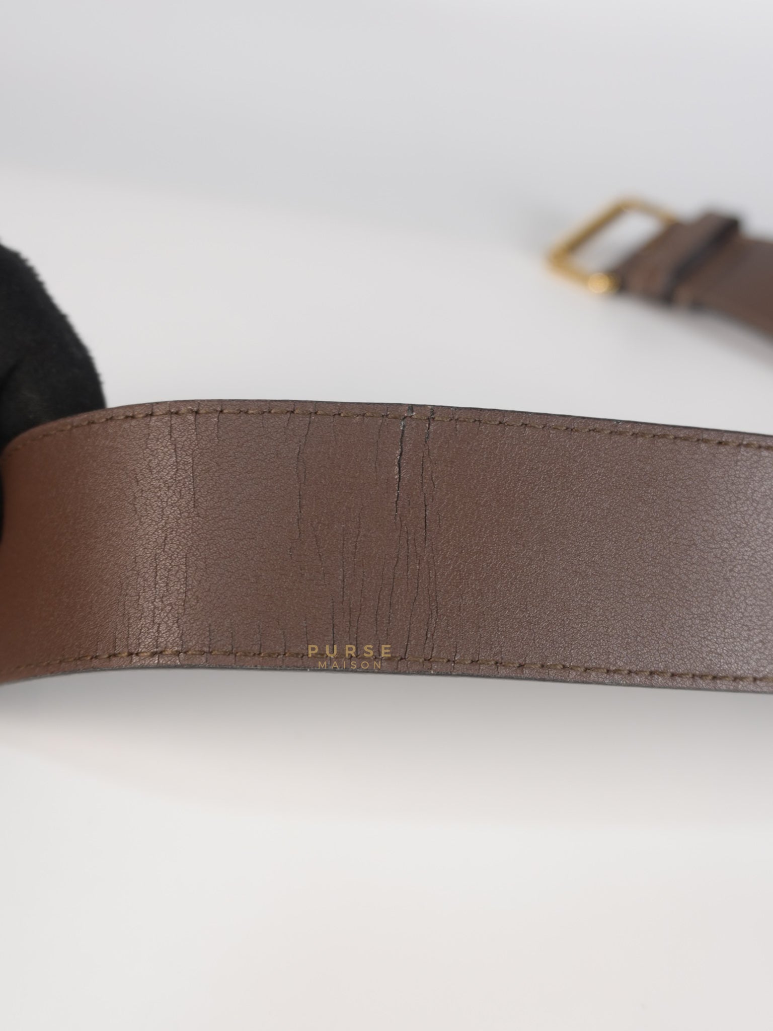 Mini Belt Bag in Supreme Canvas | Purse Maison Luxury Bags Shop