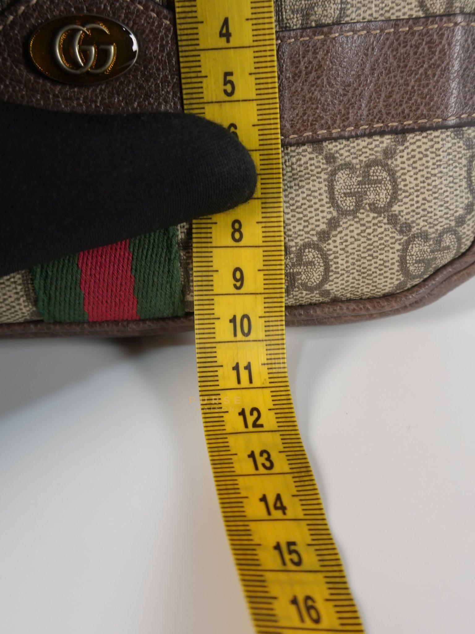 Mini Belt Bag in Supreme Canvas | Purse Maison Luxury Bags Shop