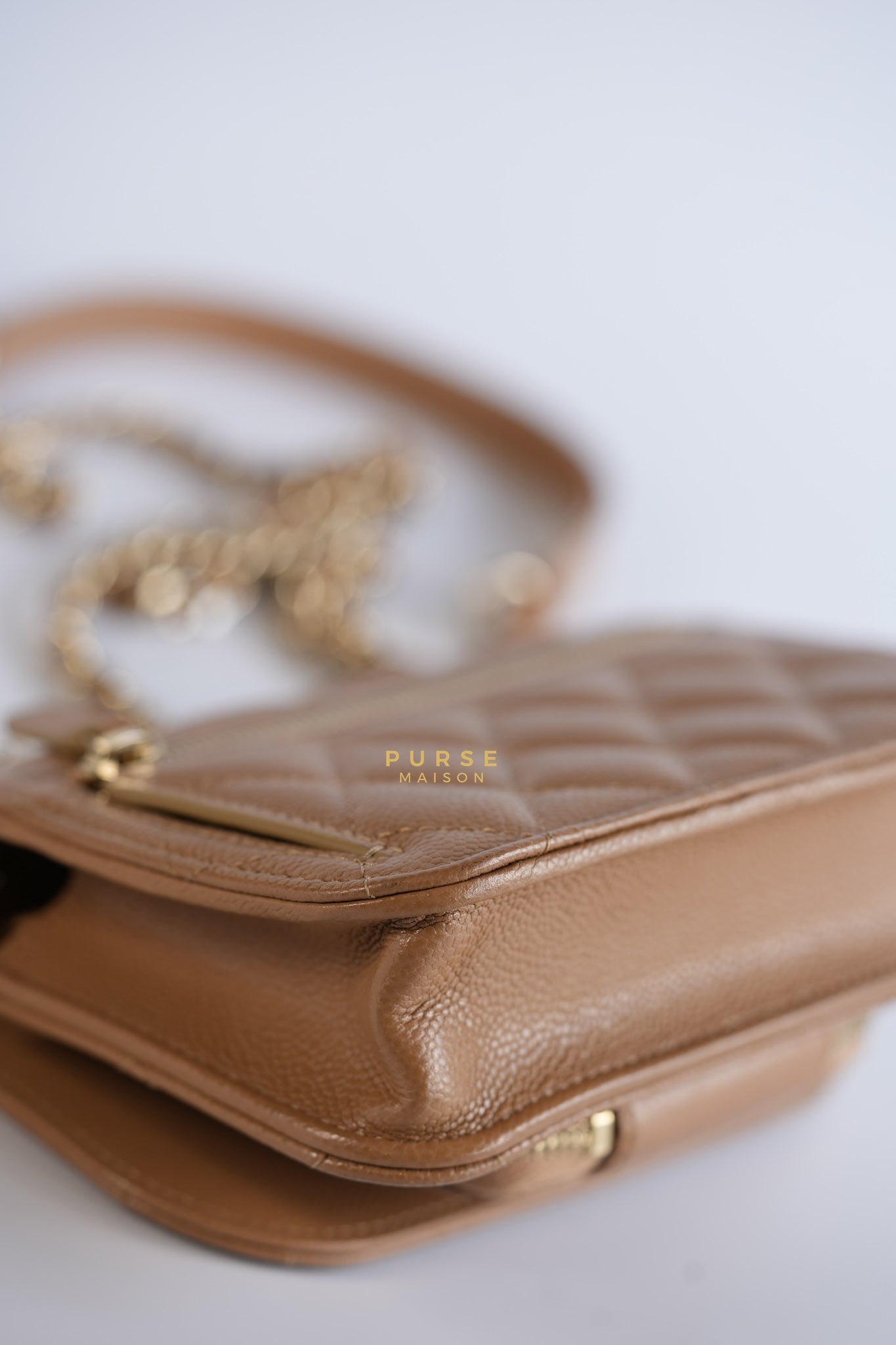 Mini Business Affinity in Dark Beige and Light Gold Hardware (Microchip) | Purse Maison Luxury Bags Shop