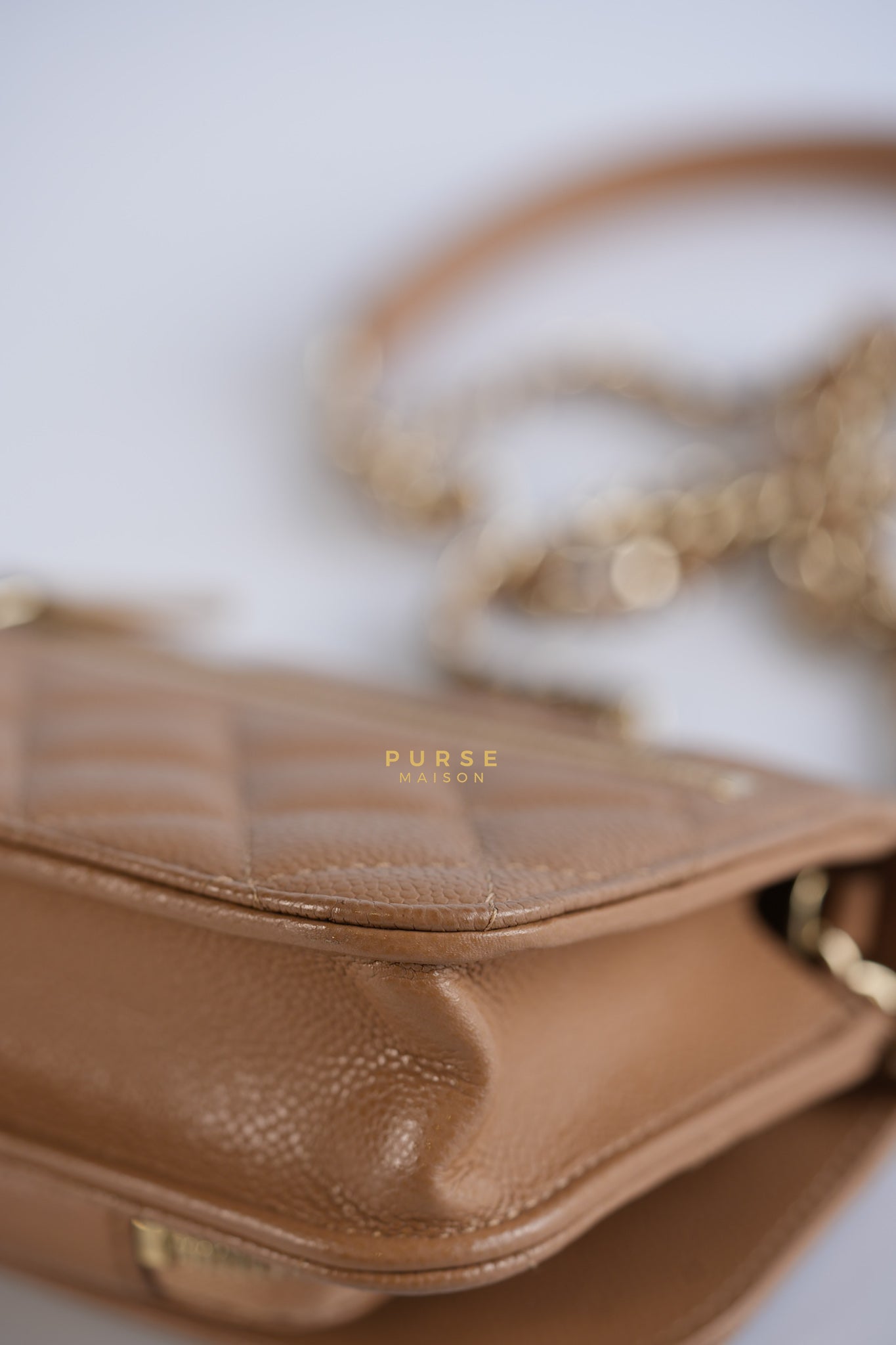 Mini Business Affinity in Dark Beige and Light Gold Hardware (Microchip) | Purse Maison Luxury Bags Shop