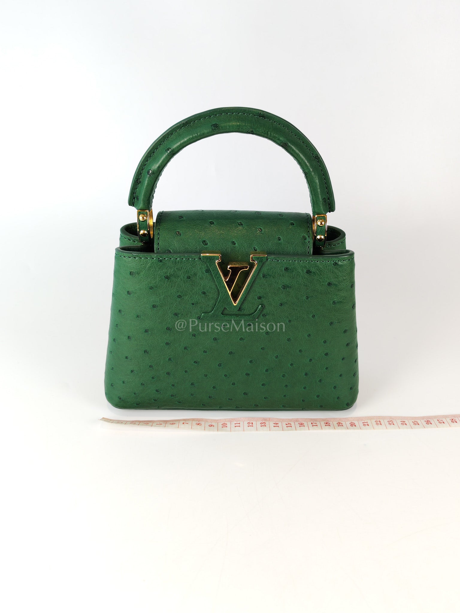 Mini Capuccines in Green Ostrich & Goat Leather Lining (Microchip) | Purse Maison Luxury Bags Shop