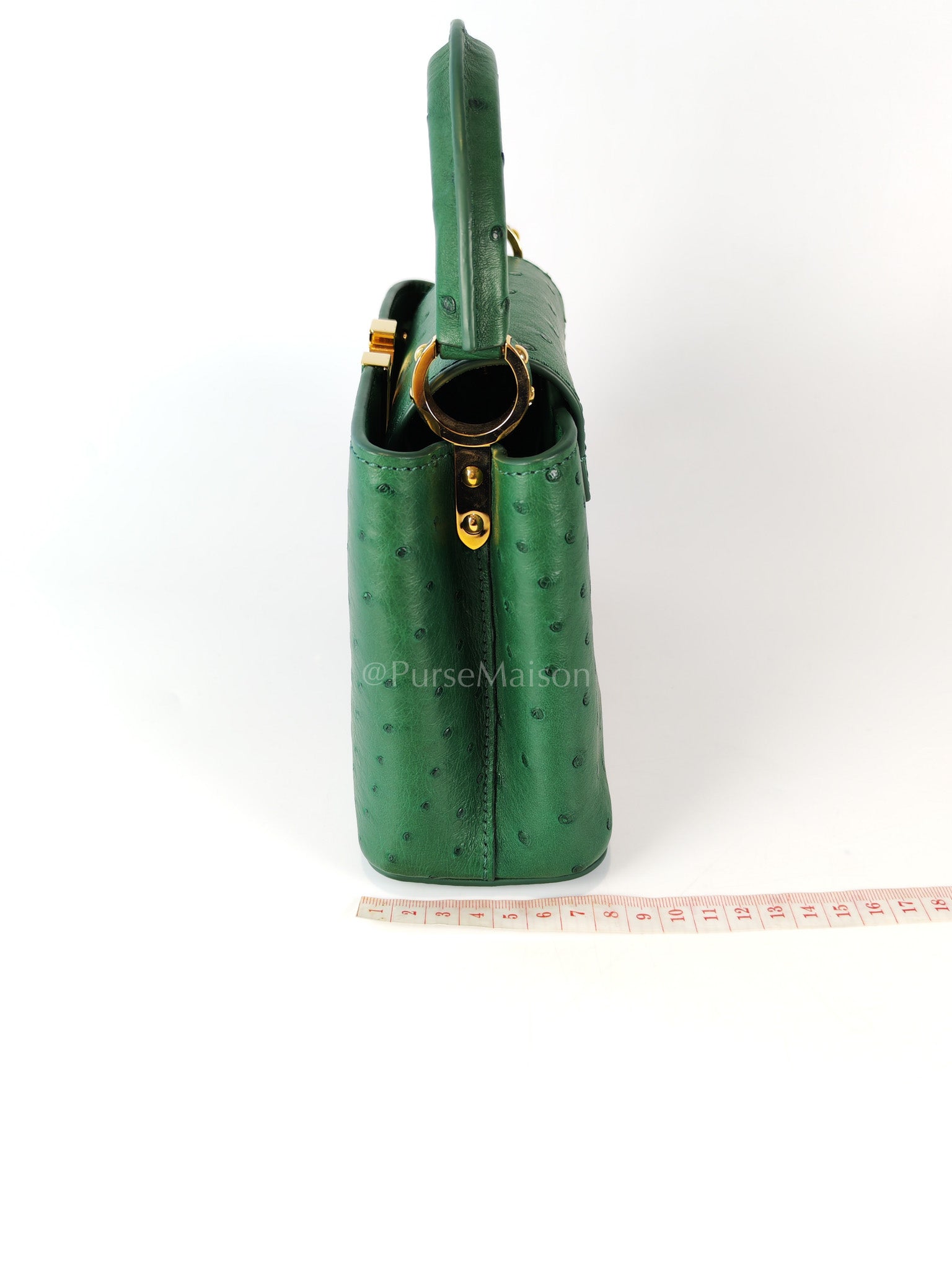 Mini Capuccines in Green Ostrich & Goat Leather Lining (Microchip) | Purse Maison Luxury Bags Shop