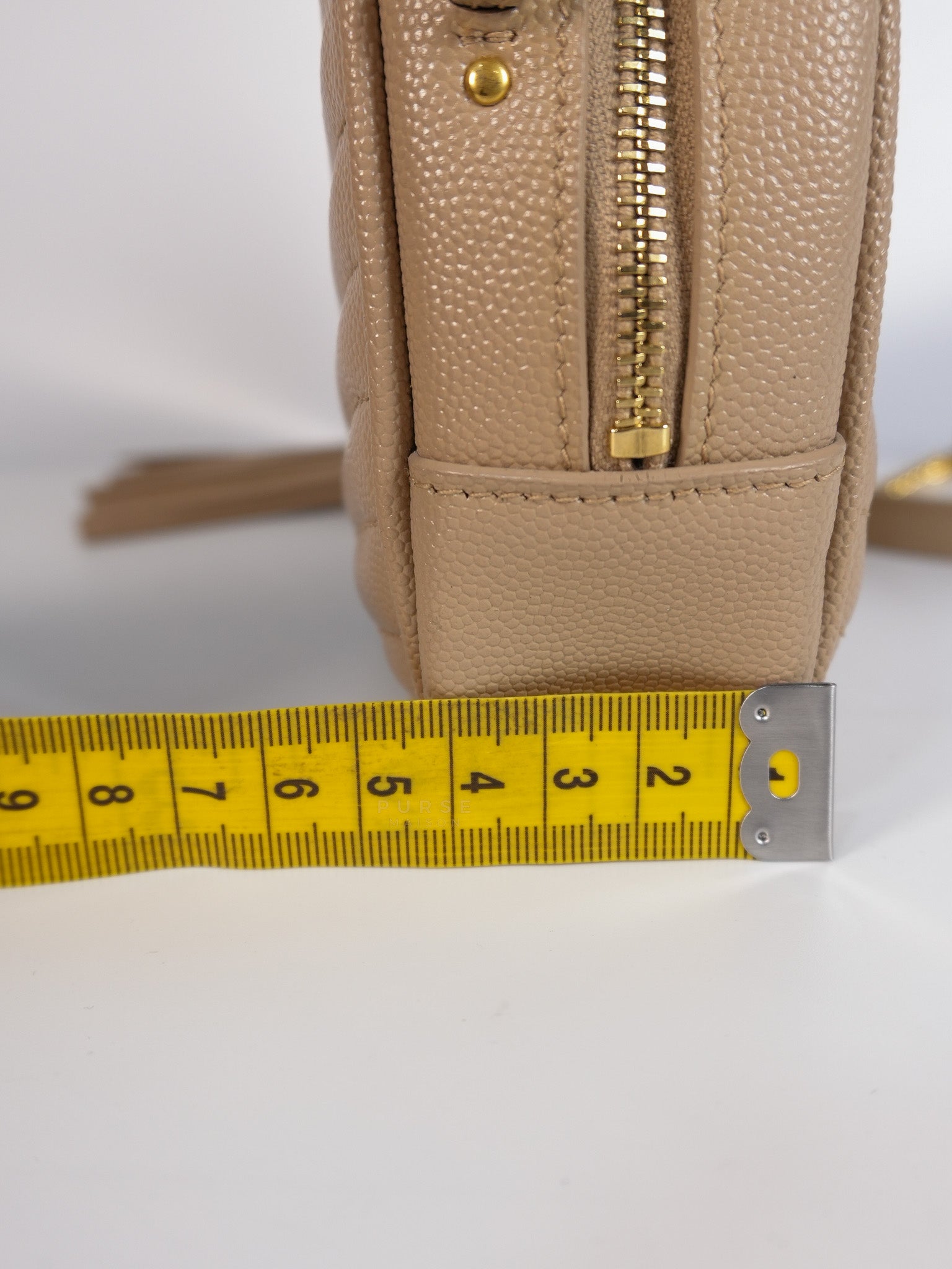 Mini Lou Camera Bag in Grain De Poudre Matelasse Monogram Leather | Purse Maison Luxury Bags Shop