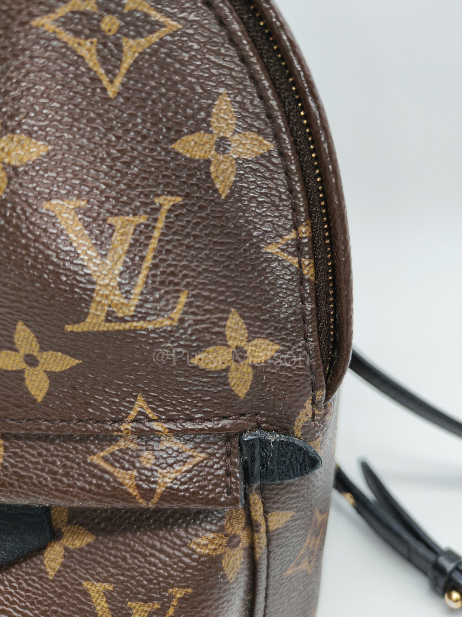 Mini Palm Spring Backpack in Monogram Canvas & Gold Hardware (Datecode: CA1148) | Purse Maison Luxury Bags Shop