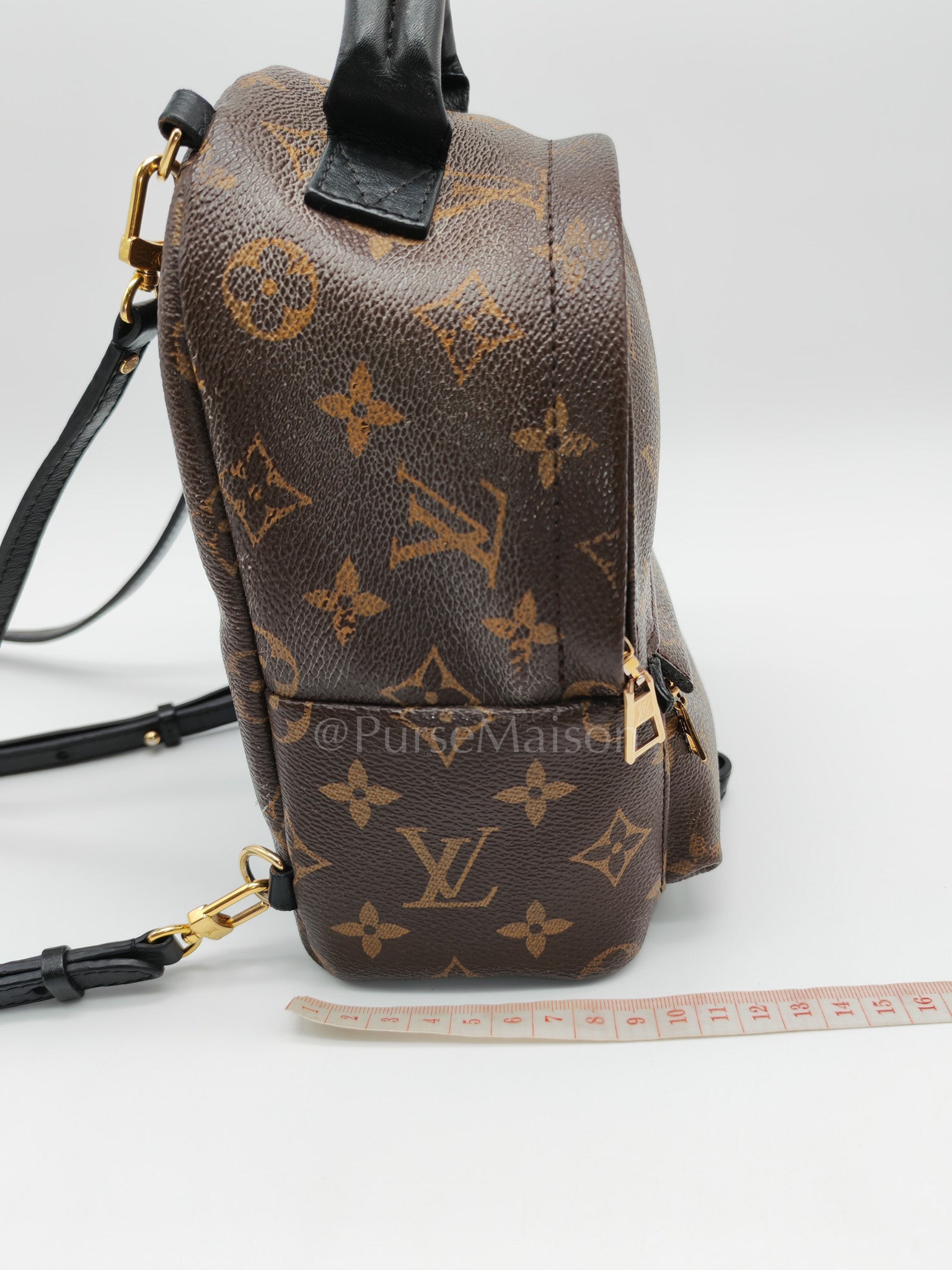 Mini Palm Spring Backpack in Monogram Canvas & Gold Hardware (Datecode: CA1148) | Purse Maison Luxury Bags Shop
