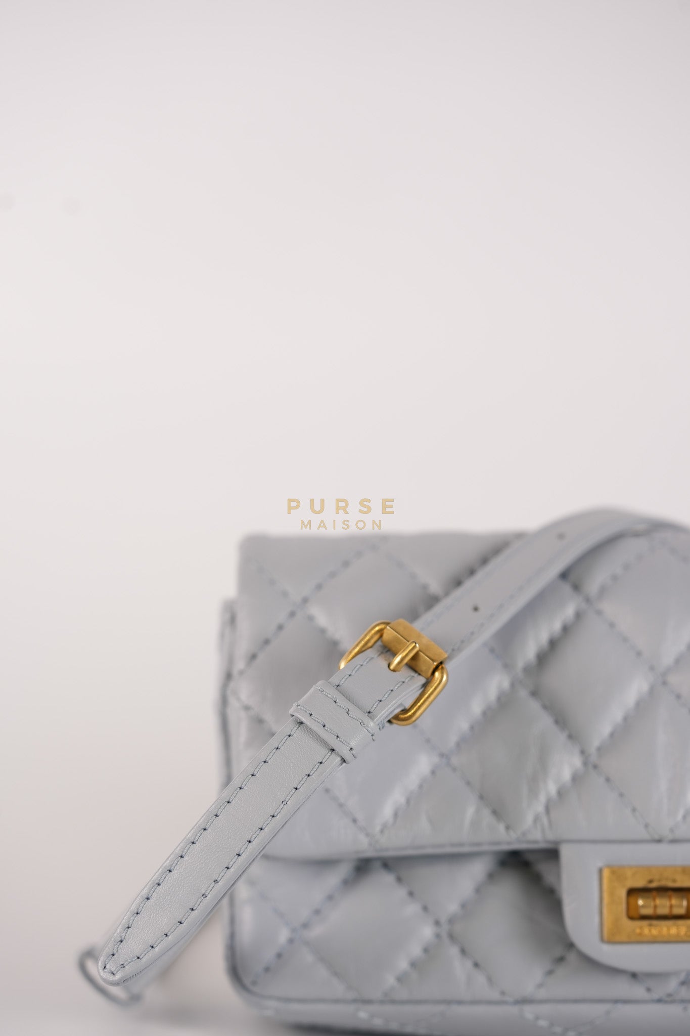 Mini Reissue Bum Bag in Distressed Calfskin Leather and Aged Gold Hardware Series 27 | Purse Maison Luxury Bags Shop