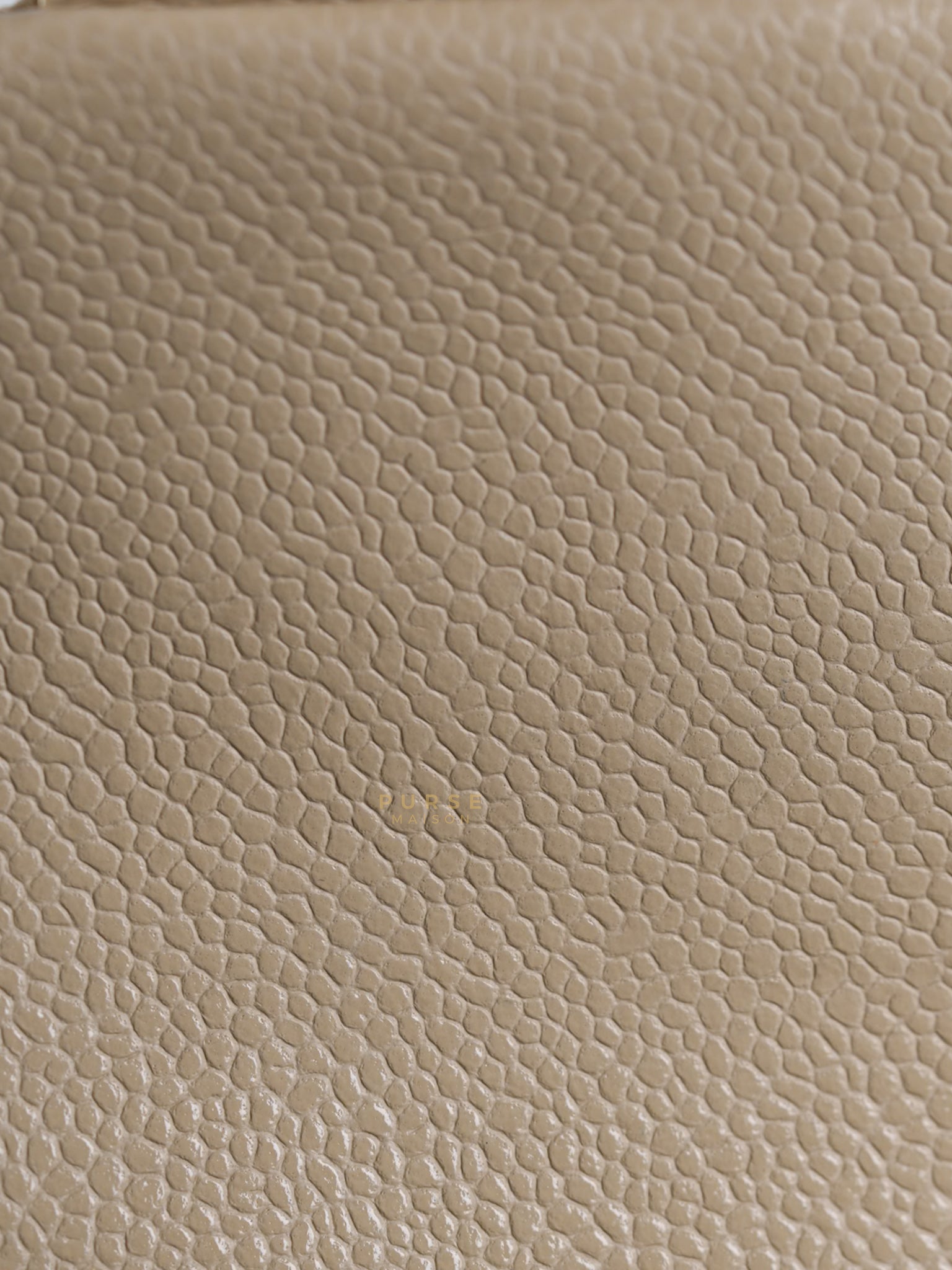 Mini Square Flap Bag in Beige Caviar Leather Gold Hardware(Microchip) | Purse Maison Luxury Bags Shop