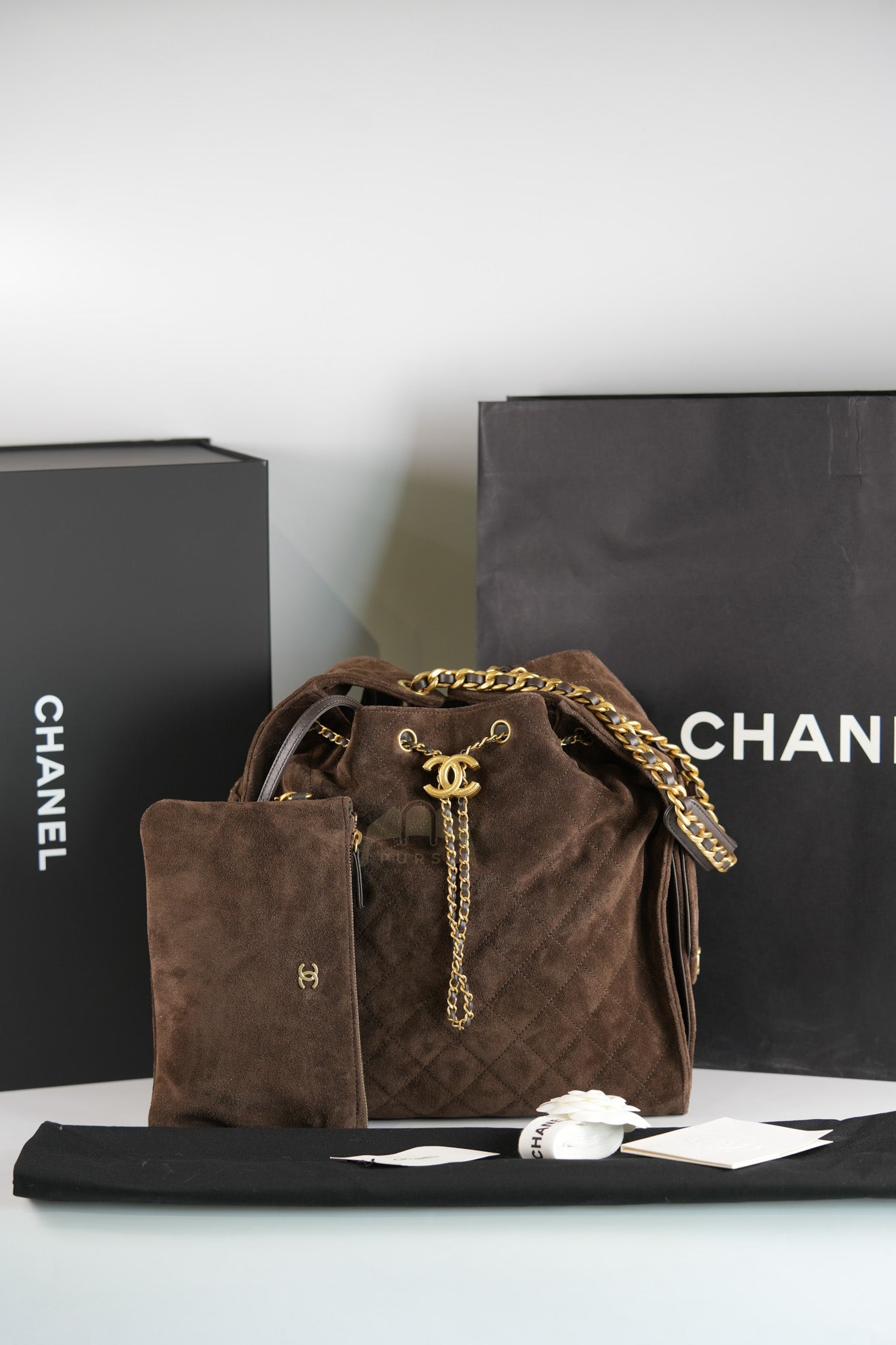 C25 Hobo Bag Medium in Brown Suede Calfskin Leather and Aged Gold Hardware (Microchip)