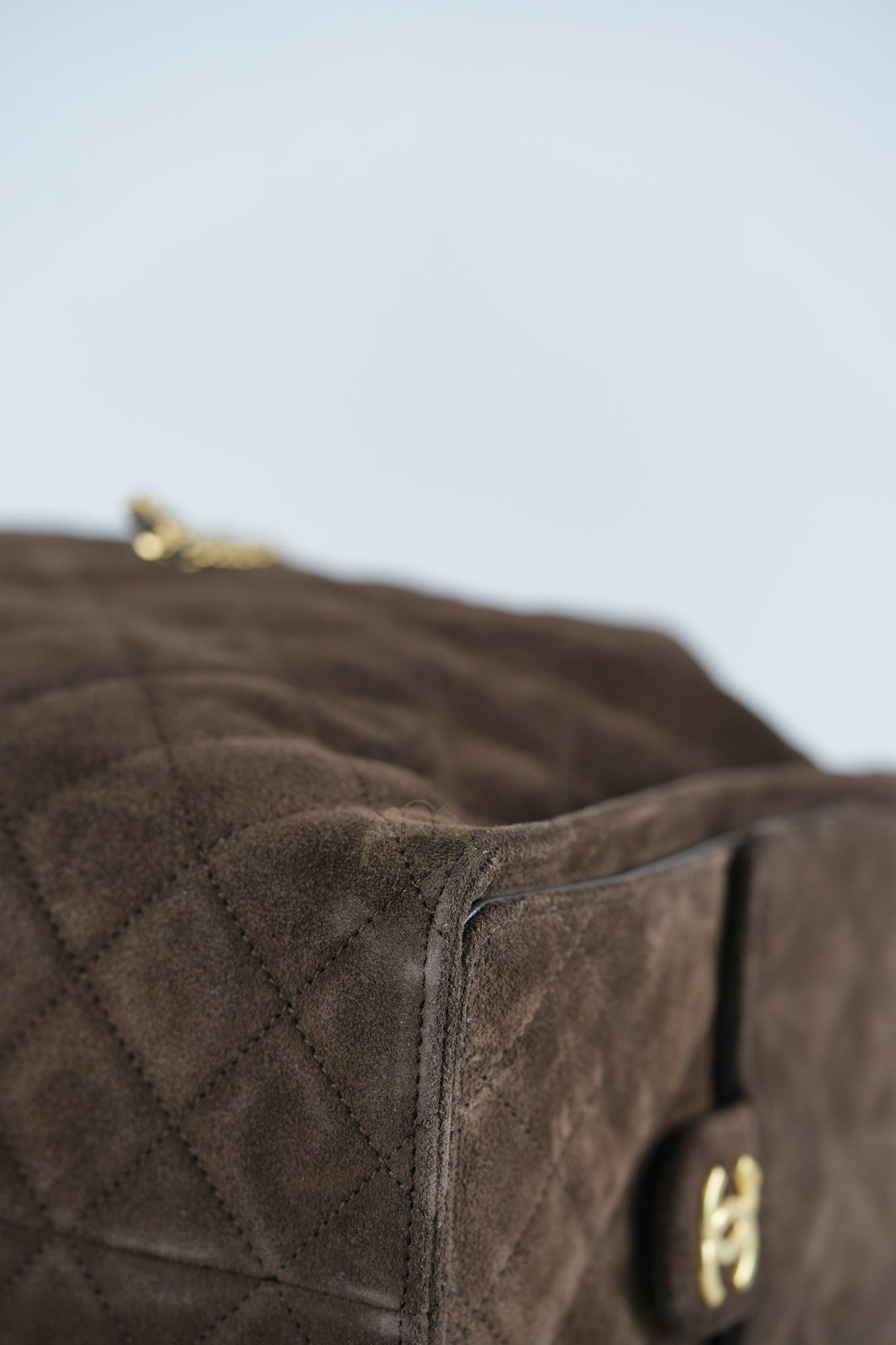 C25 Hobo Bag Medium in Brown Suede Calfskin Leather and Aged Gold Hardware (Microchip)