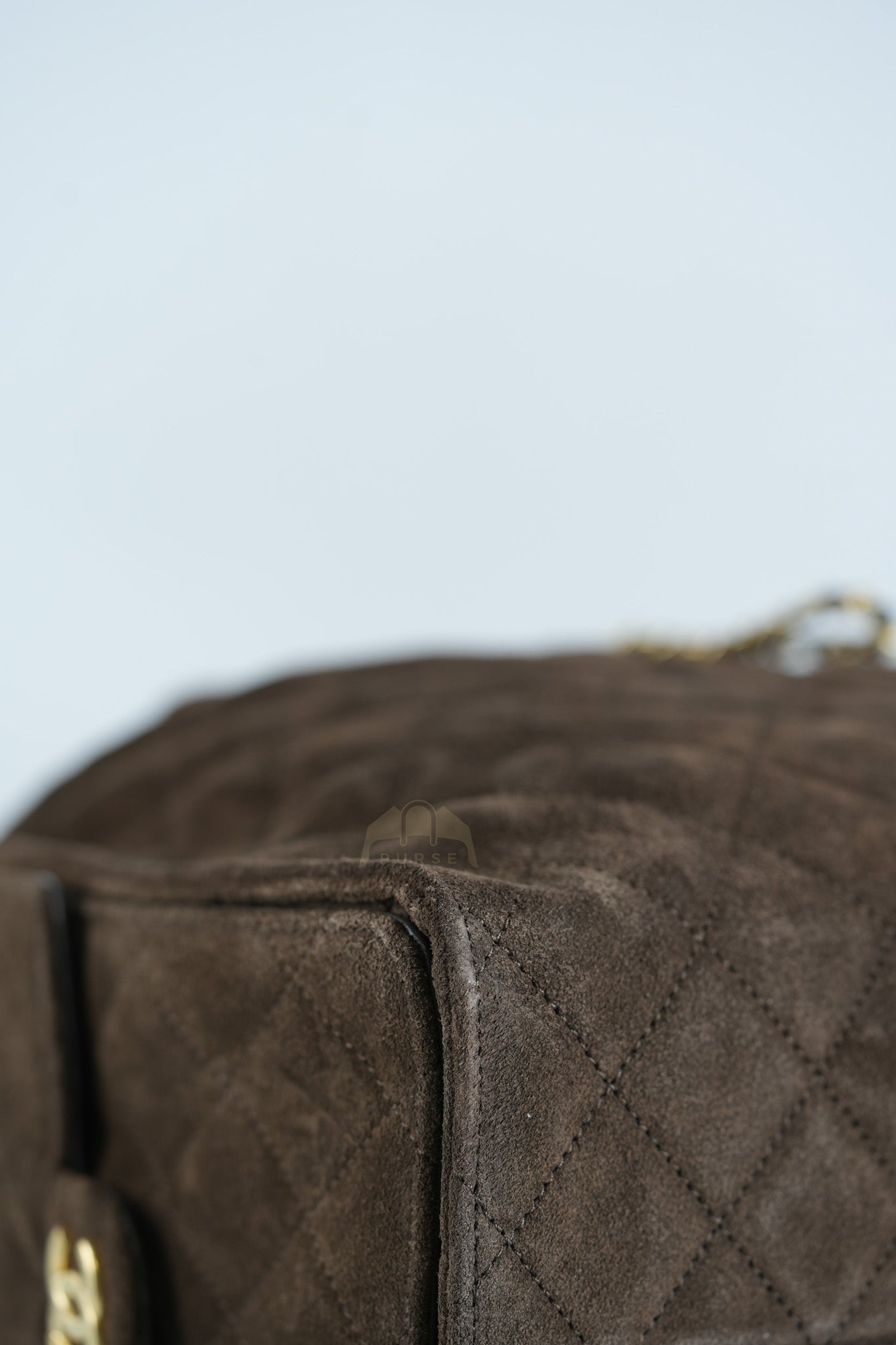 C25 Hobo Bag Medium in Brown Suede Calfskin Leather and Aged Gold Hardware (Microchip)