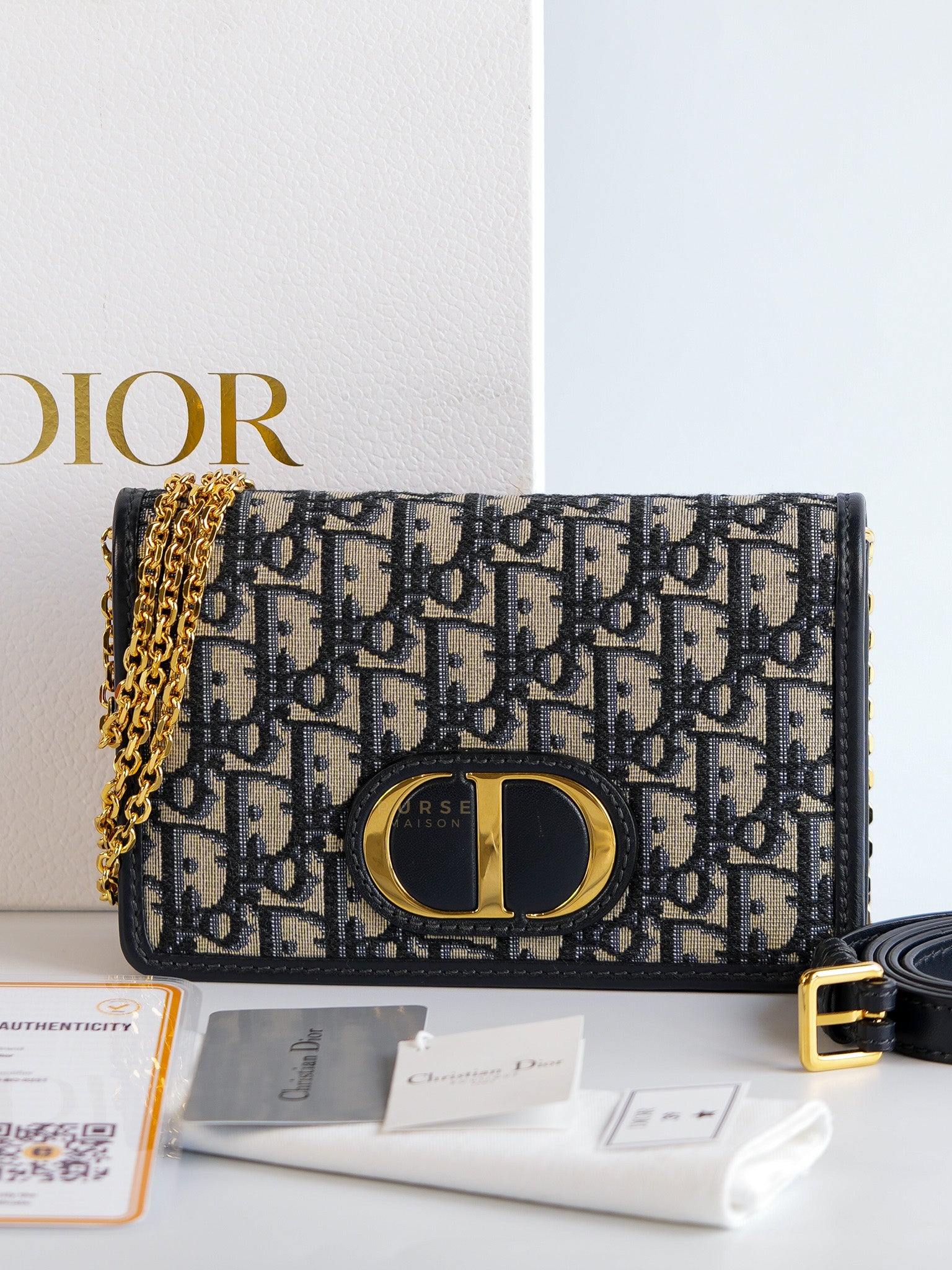 Montaigne Zipped 2-in-One Pouch in Dior Oblique Canvas | Purse Maison Luxury Bags Shop