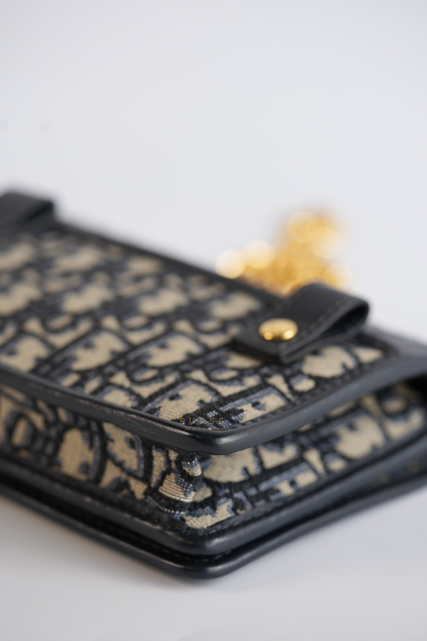 Montaigne Zipped 2-in-One Pouch in Dior Oblique Canvas | Purse Maison Luxury Bags Shop