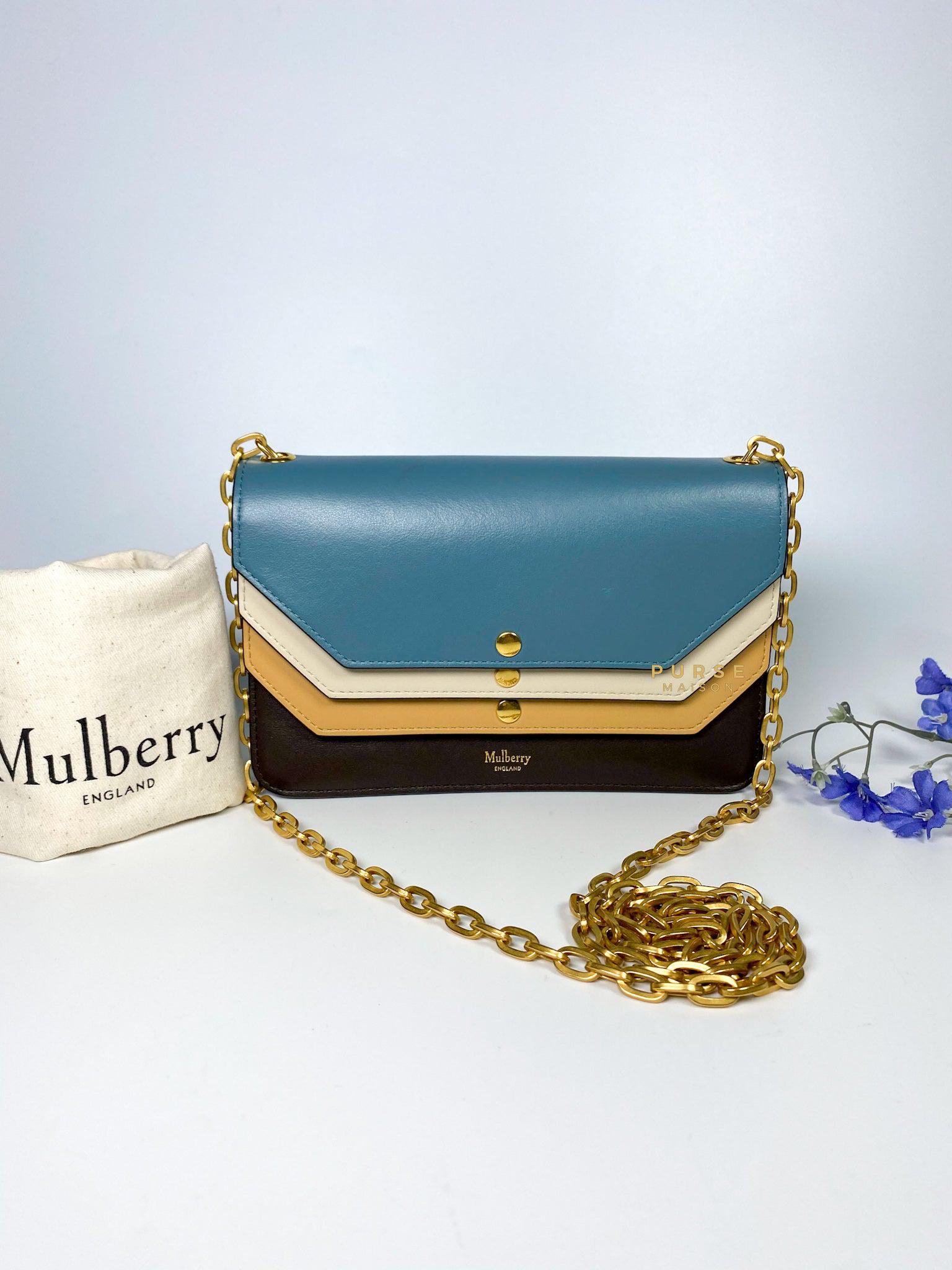 Mulberry Multicolored Multi-Flap Leather Clutch Bag