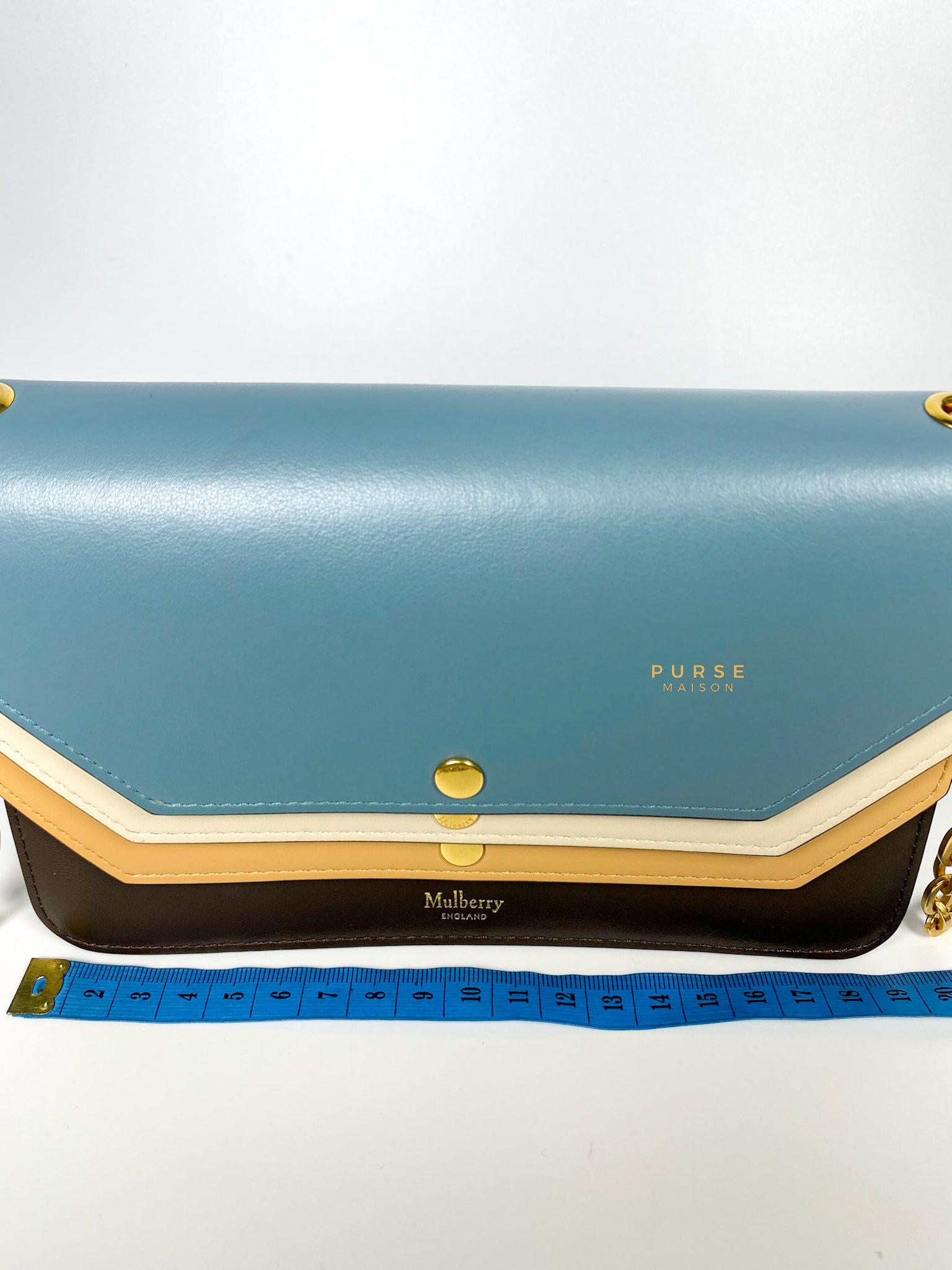 Mulberry Multicolored Multi-Flap Leather Clutch Bag