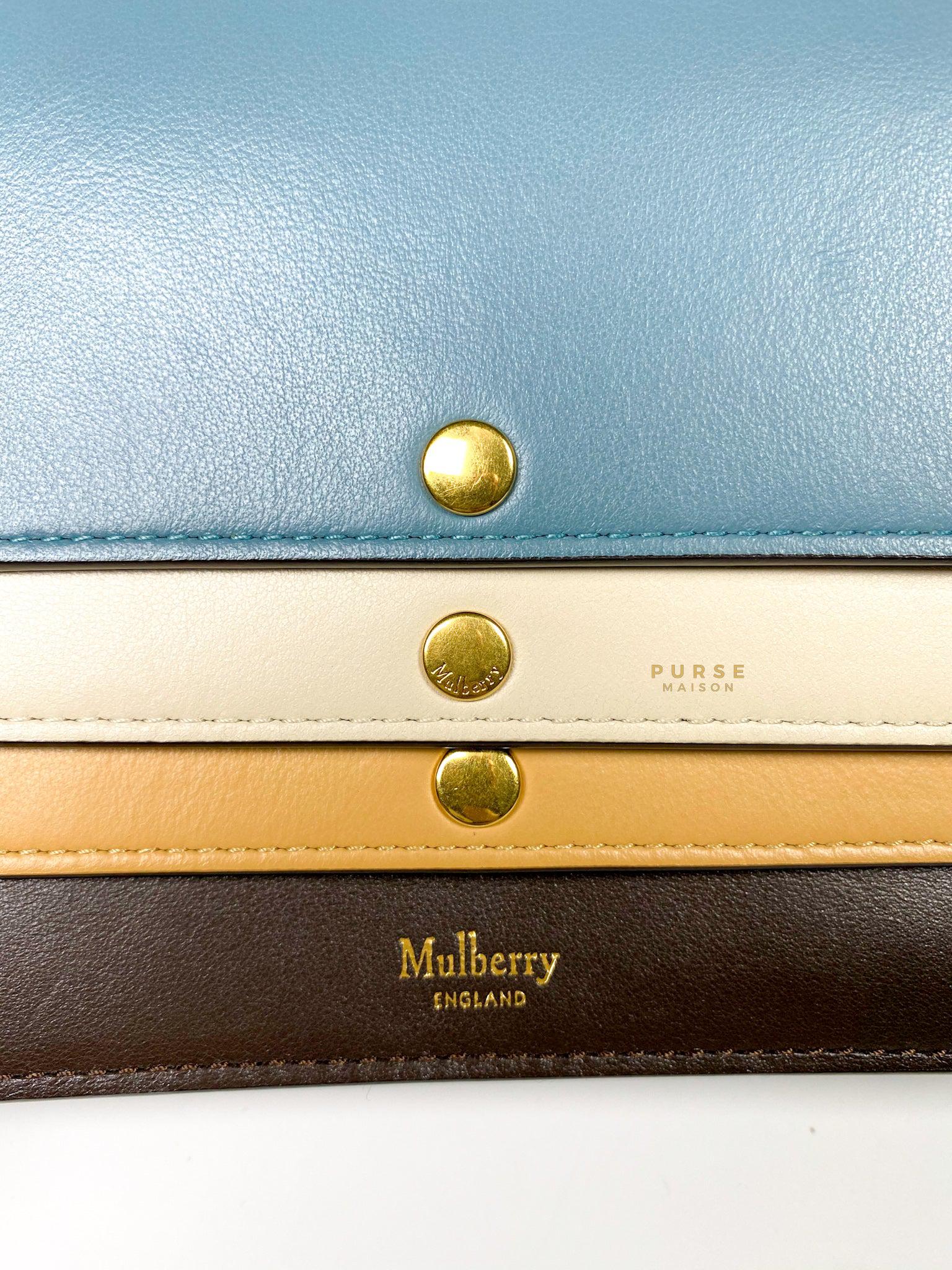 Mulberry Multicolored Multi-Flap Leather Clutch Bag