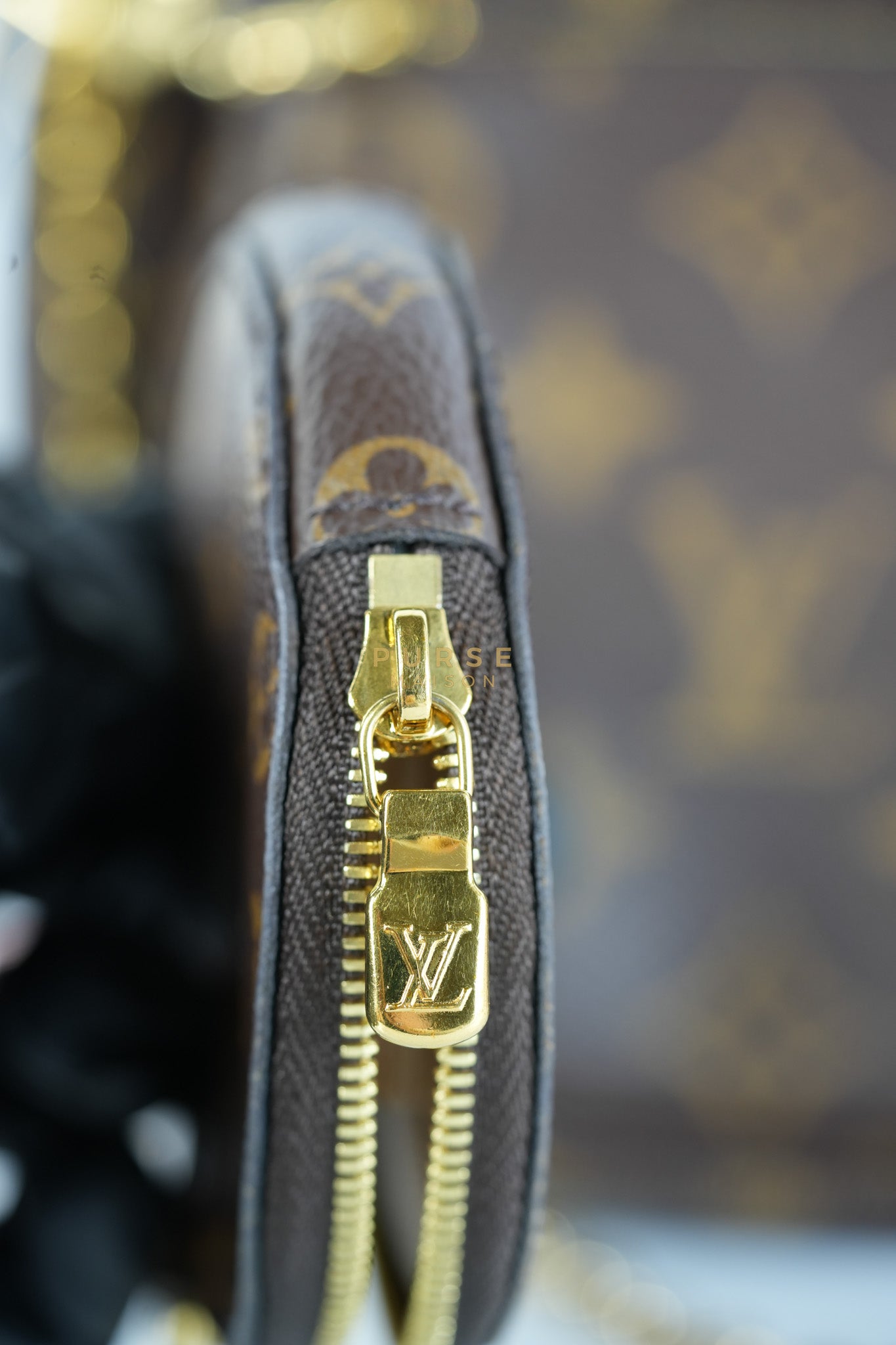 Multi Pochette Shoulder Bag in Monogram Canvas & Gold Hardware Microchip | Purse Maison Luxury Bags Shop