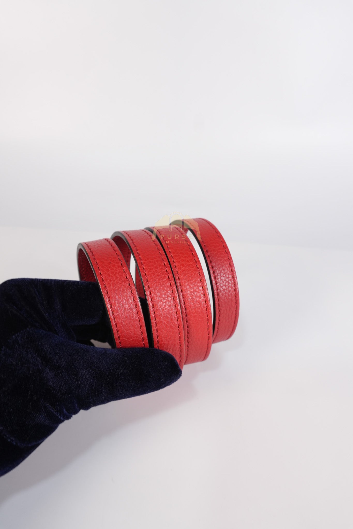 Nano Luggage Tote Bag in Red Grained Calfskin Leather & Gold Hardware | Purse Maison Luxury Bags Shop