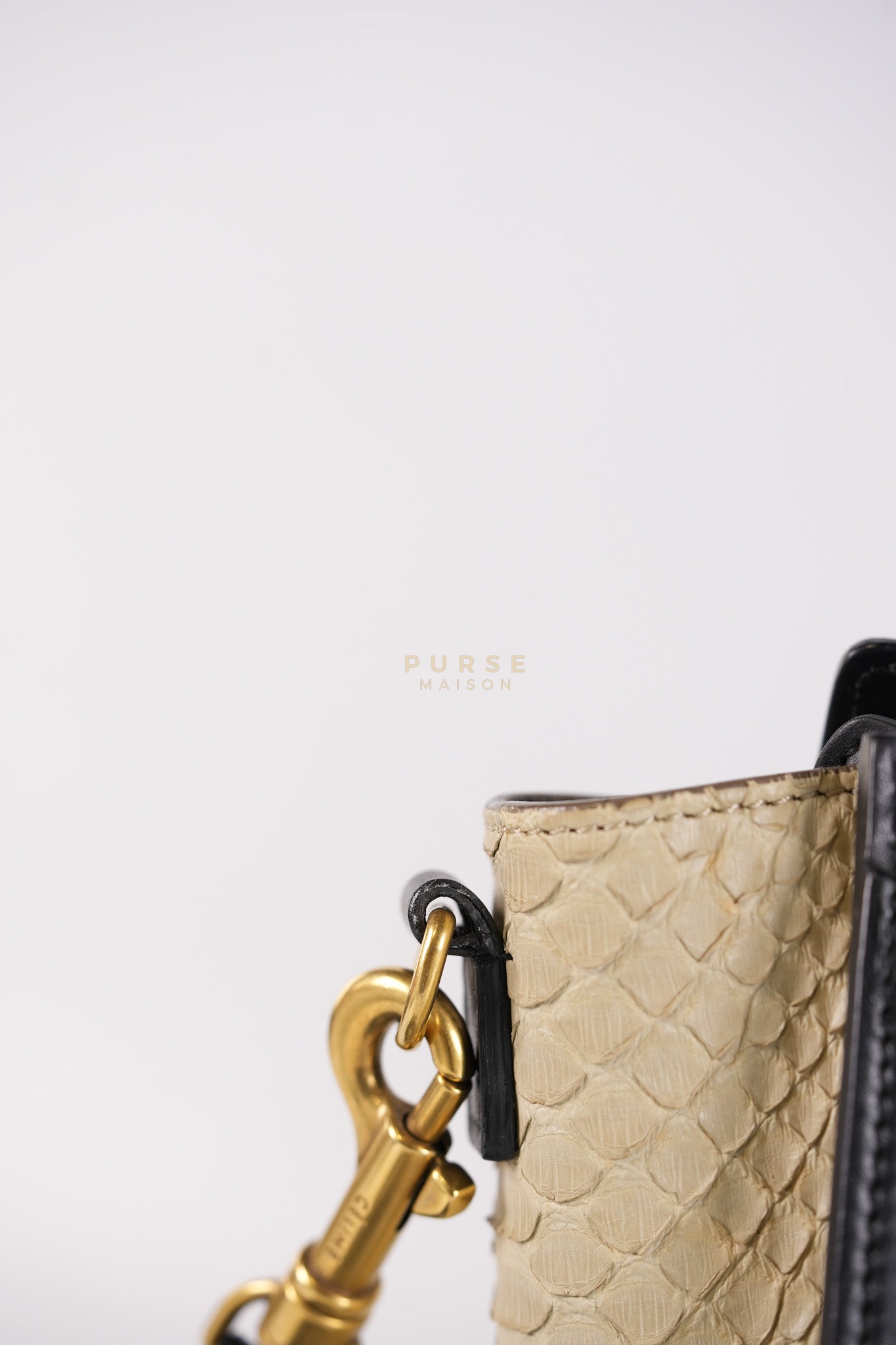 Nano Luggage Tri-color in Python Exotic Leather | Purse Maison Luxury Bags Shop