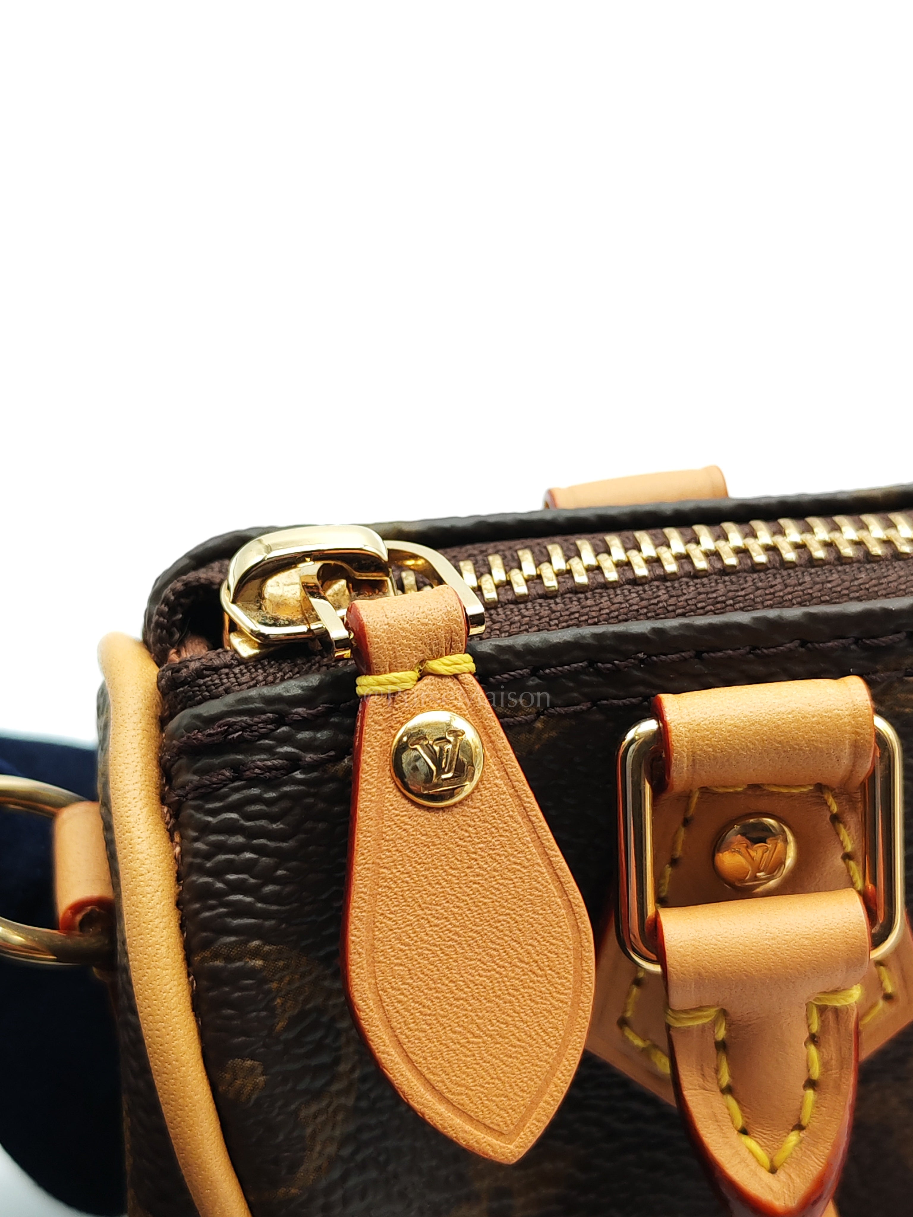Nano Speedy Bandoulière in Monogram Canvas & Gold Hardware (Datecode: TN3265) | Purse Maison Luxury Bags Shop