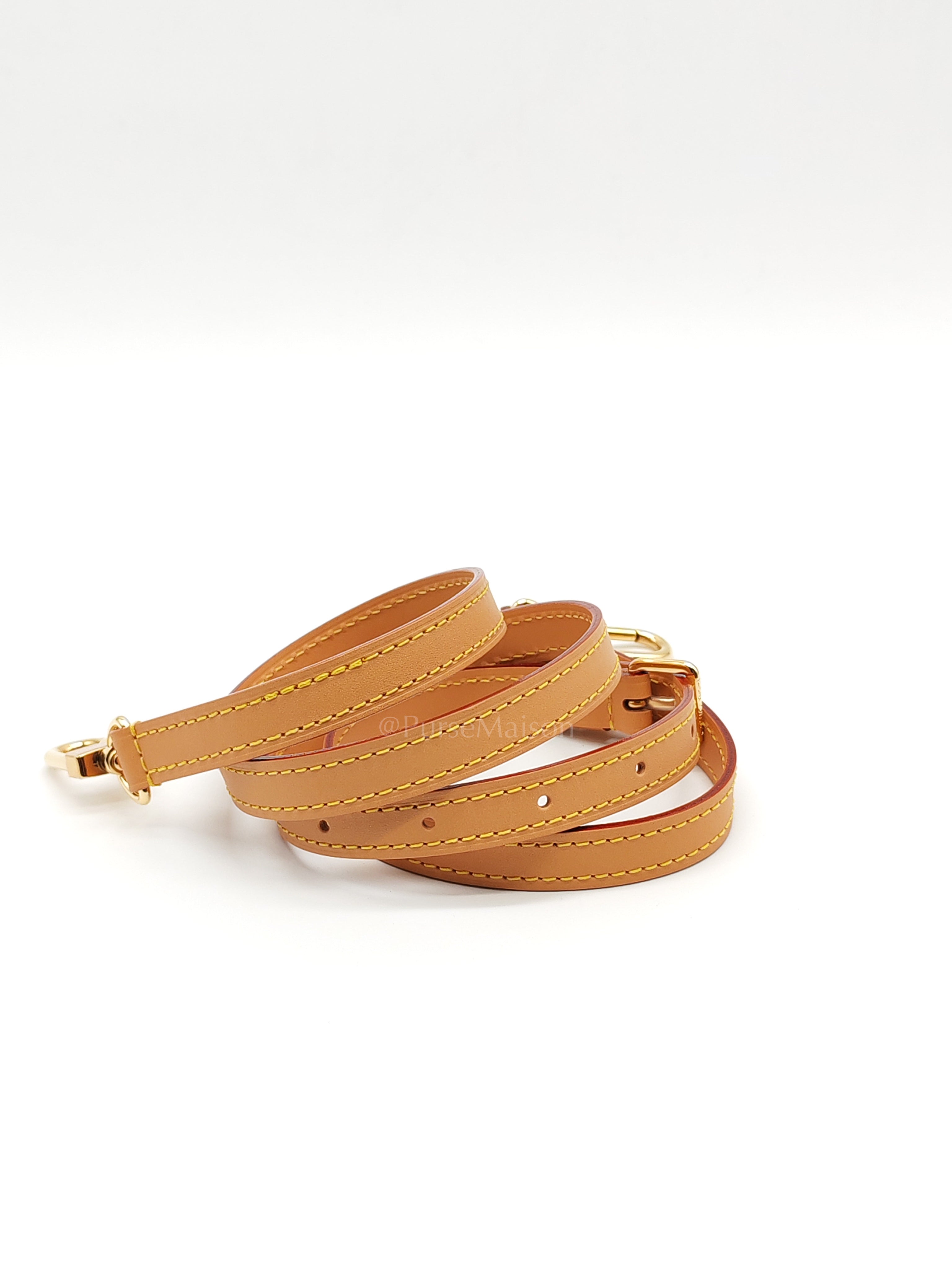 Nano Speedy Bandoulière in Monogram Canvas & Gold Hardware (Datecode: TN3265) | Purse Maison Luxury Bags Shop