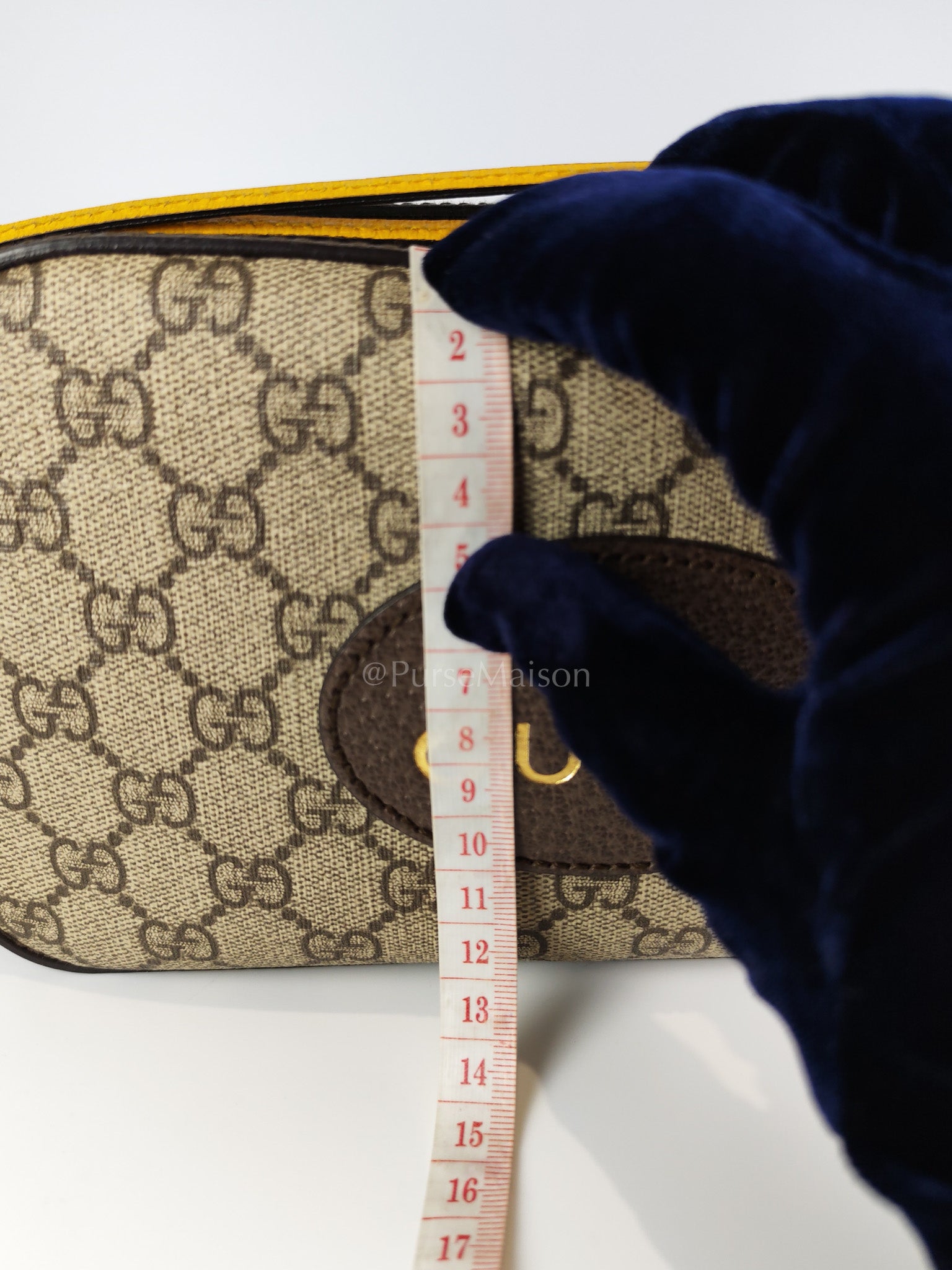 Neo Vintage Camera Bag in Supreme Monogram Canvas Crossbody Bag | Purse Maison Luxury Bags Shop