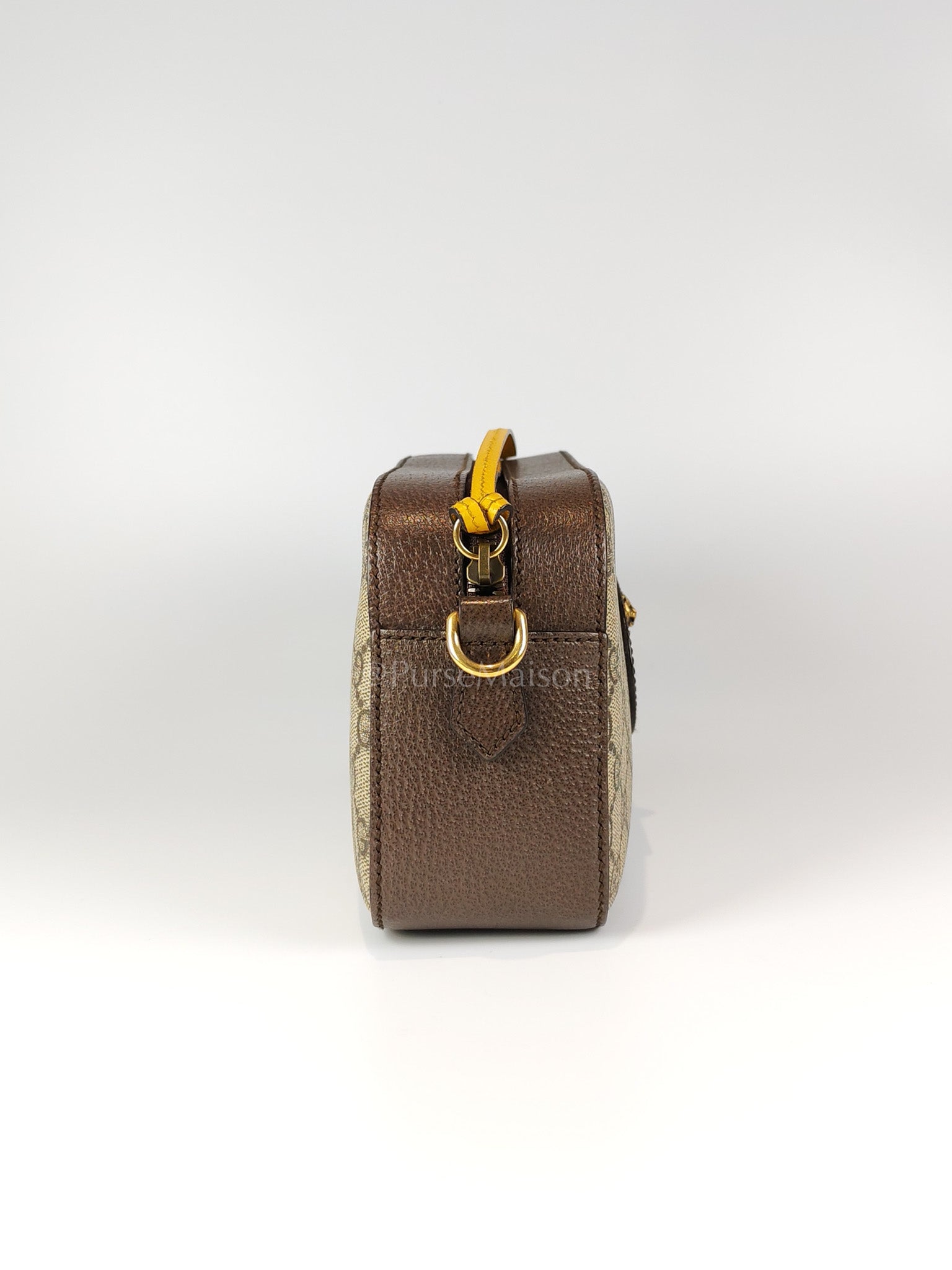 Neo Vintage Camera Bag in Supreme Monogram Canvas Crossbody Bag | Purse Maison Luxury Bags Shop