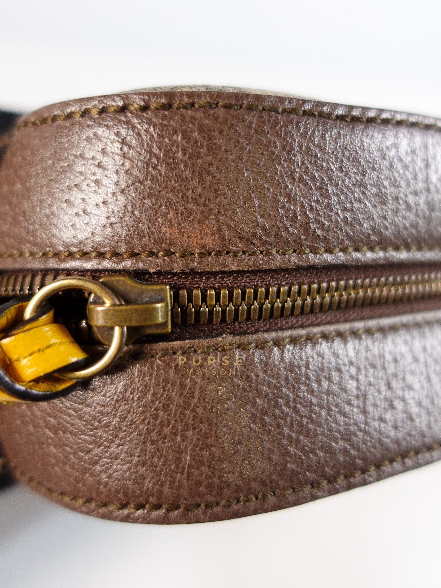 Neo Vintage Coated Canvas Camera Bag | Purse Maison Luxury Bags Shop